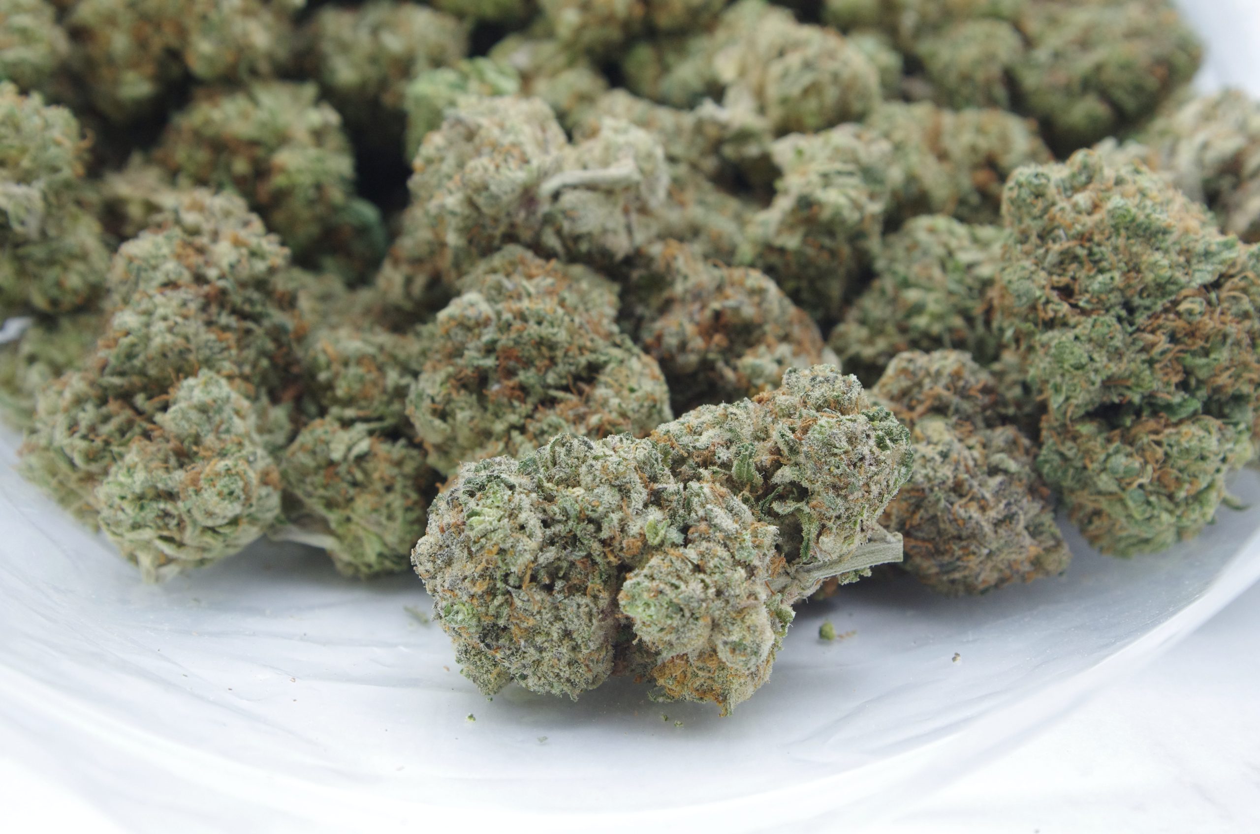 GMO Cookies Oz Special Indica anti-anxiety GMO Cookies Oz Special Indica anti-anxiety