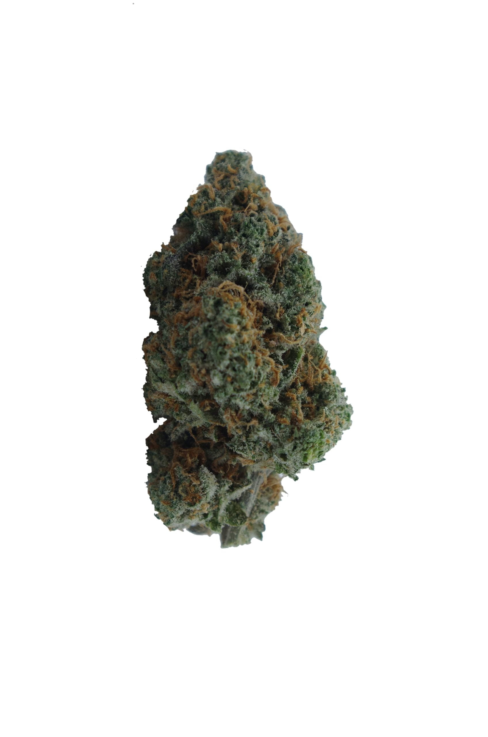 GMO Cookies Oz Special Hybrid anti-anxiety GMO Cookies Oz Special Hybrid anti-anxiety
