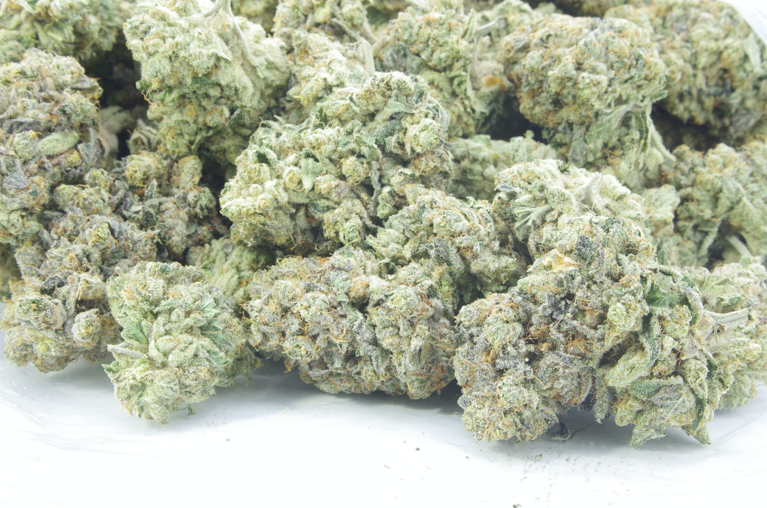 Garlic Breath Oz Special Hybrid Berries Garlic Breath Oz Special Hybrid Berries