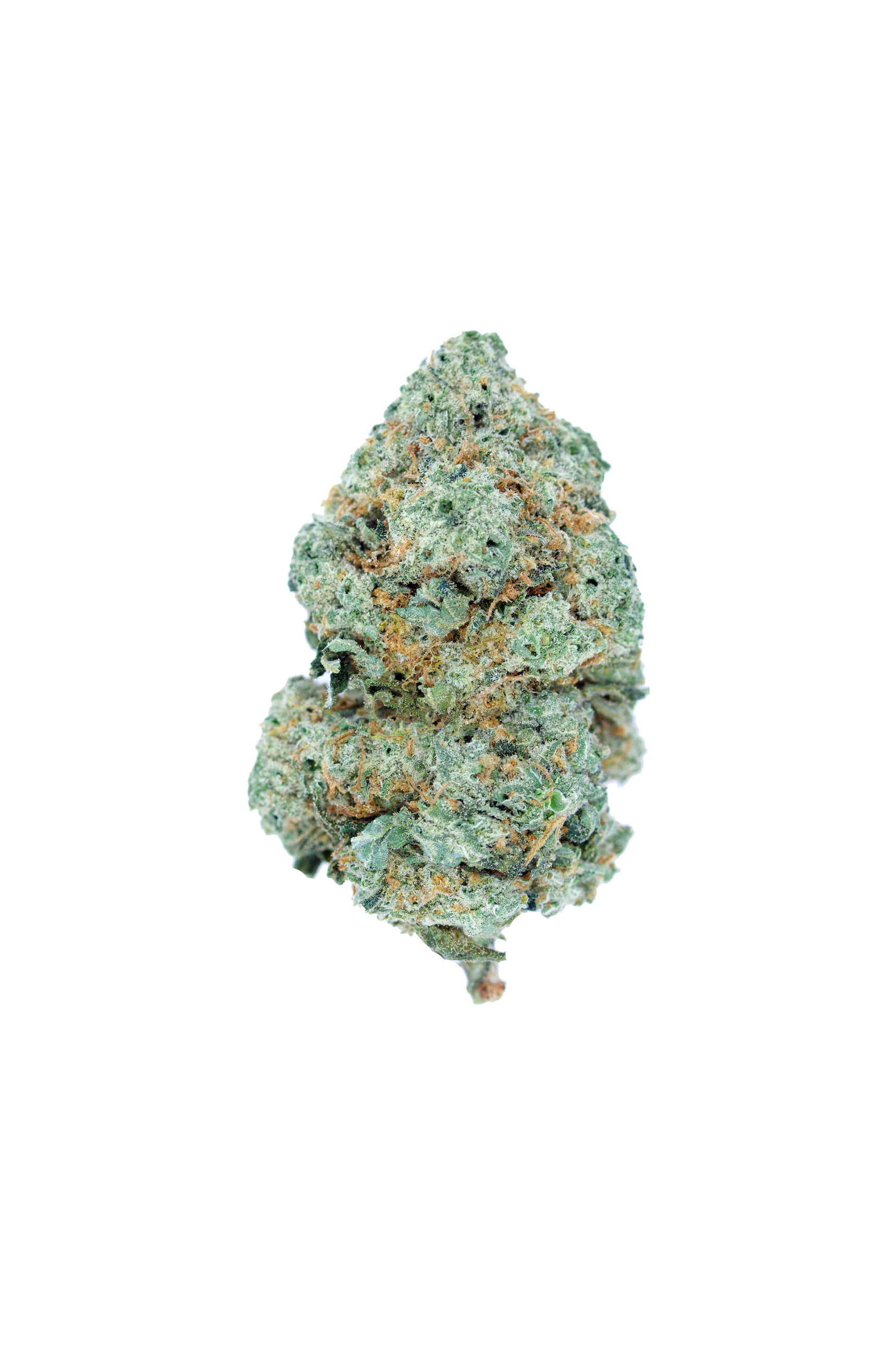 Ghost Train Haze Sativa anti-anxiety Ghost Train Haze Sativa anti-anxiety
