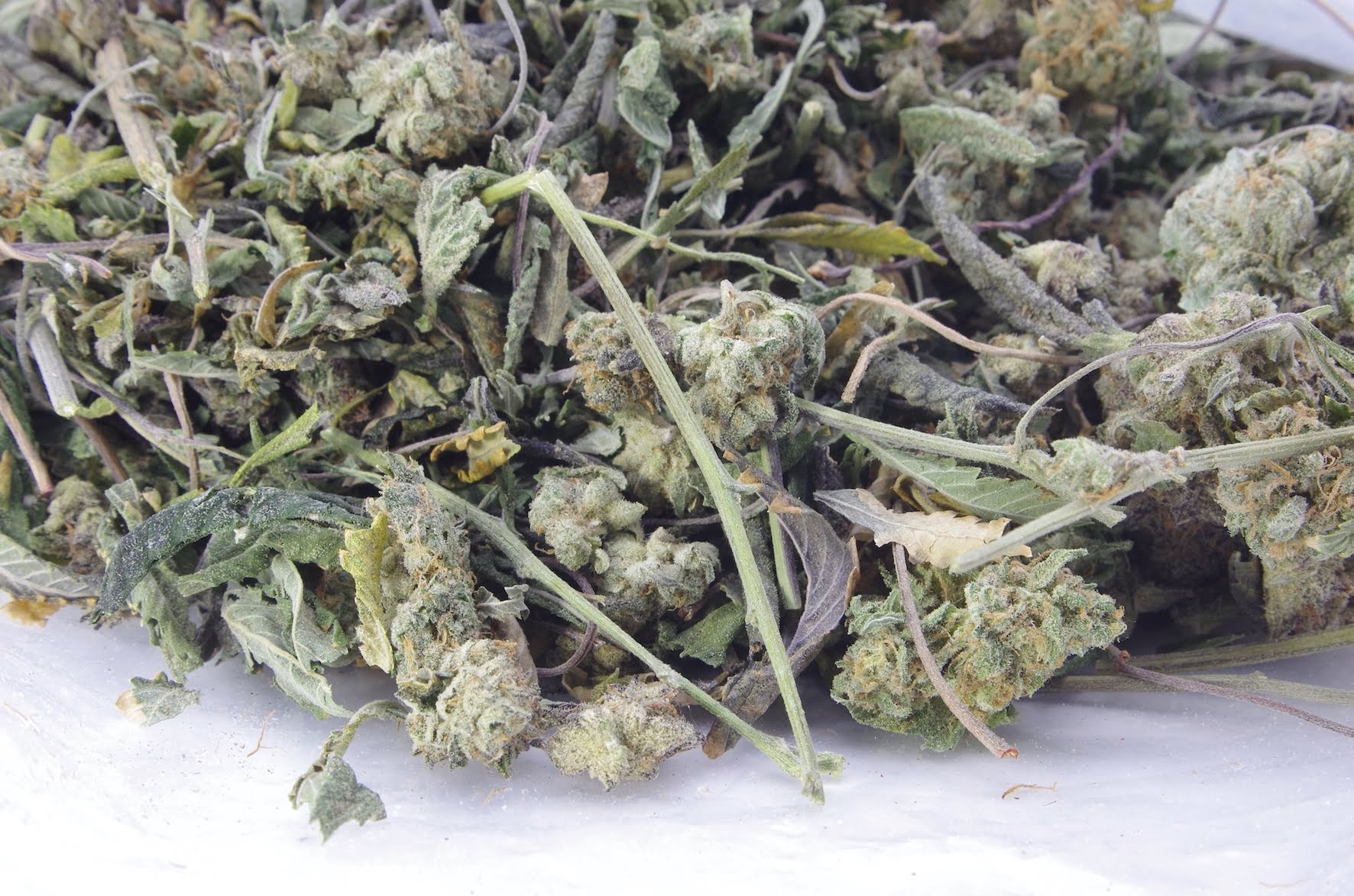 God Bud Shake/Trim (Oz Special) Indica anti-anxiety God Bud Shake/Trim (Oz Special) Indica anti-anxiety