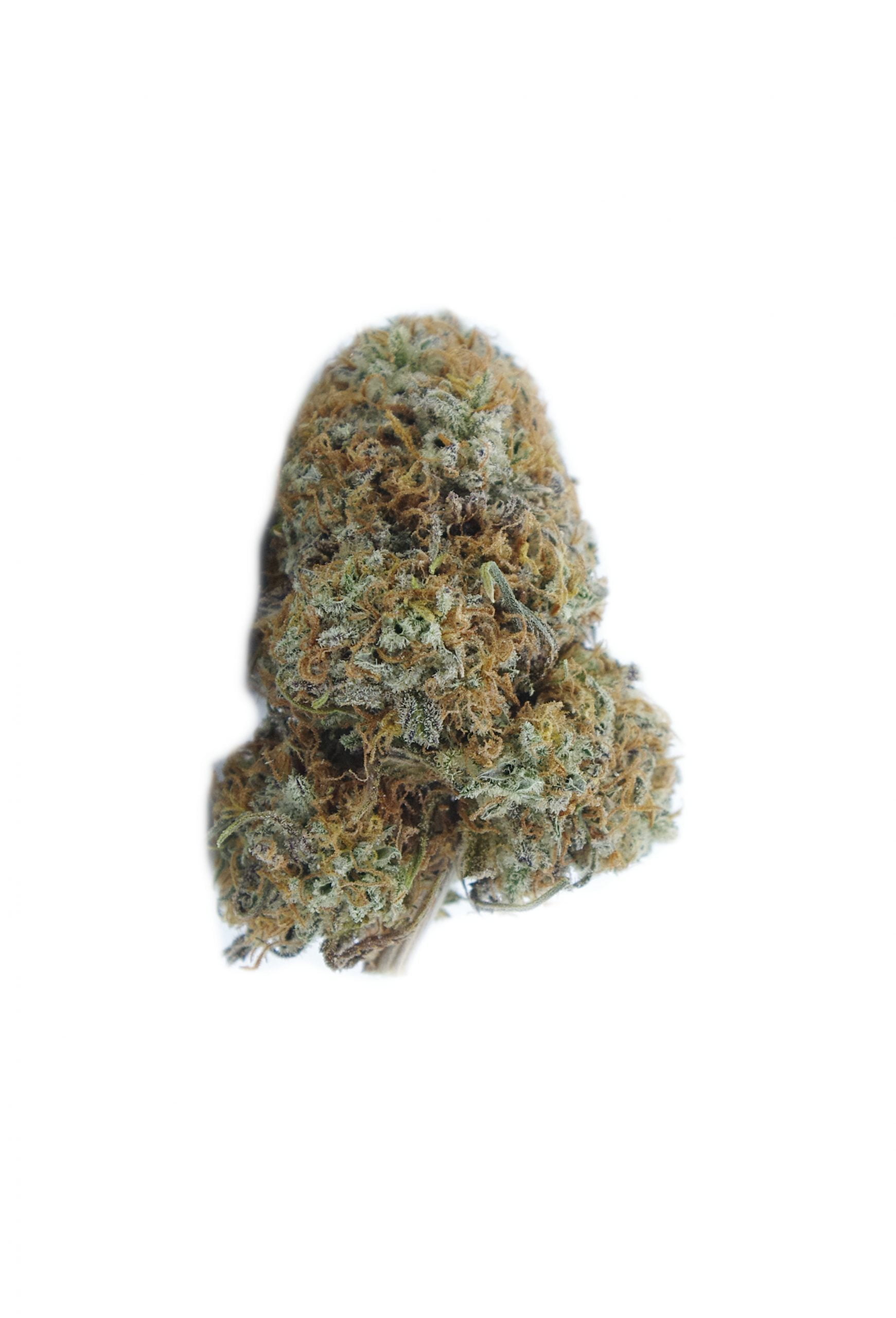 Gorilla Bomb (Oz Special) Hybrid anti-anxiety Gorilla Bomb (Oz Special) Hybrid anti-anxiety