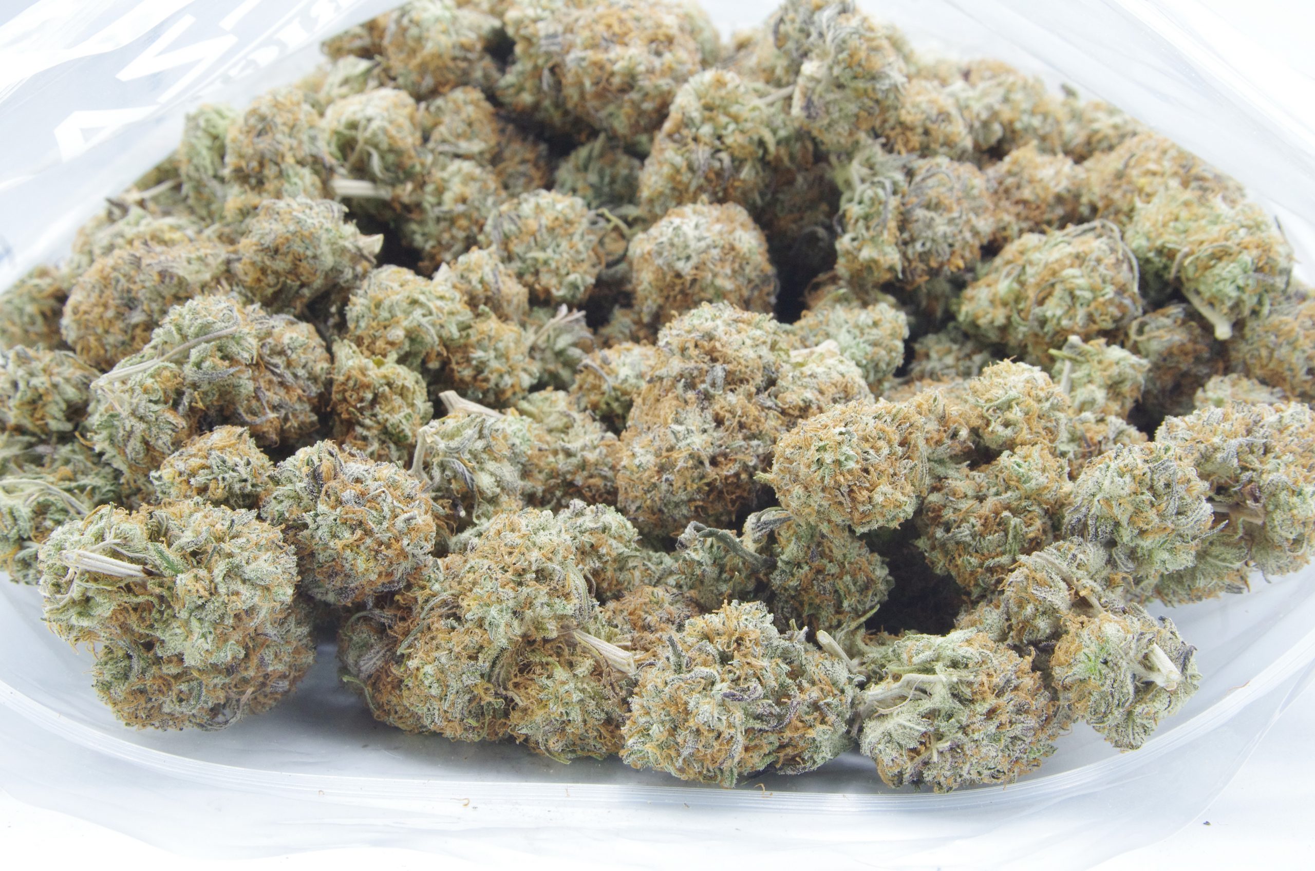 Gorilla Bomb (Oz Special) Hybrid anti-anxiety Gorilla Bomb (Oz Special) Hybrid anti-anxiety