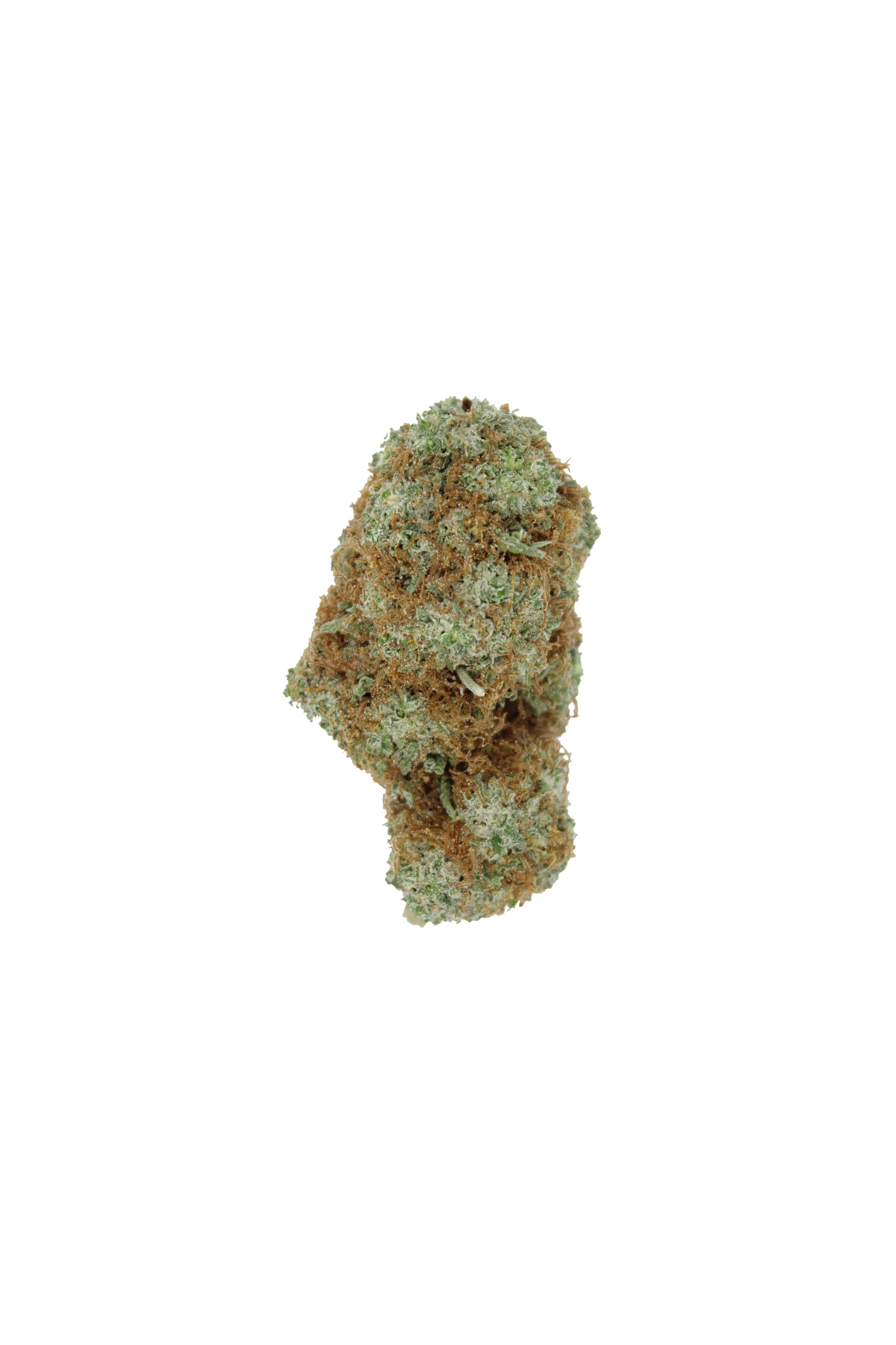 Gorilla Breath (Oz Special) Hybrid Gorilla Breath (Oz Special) Hybrid