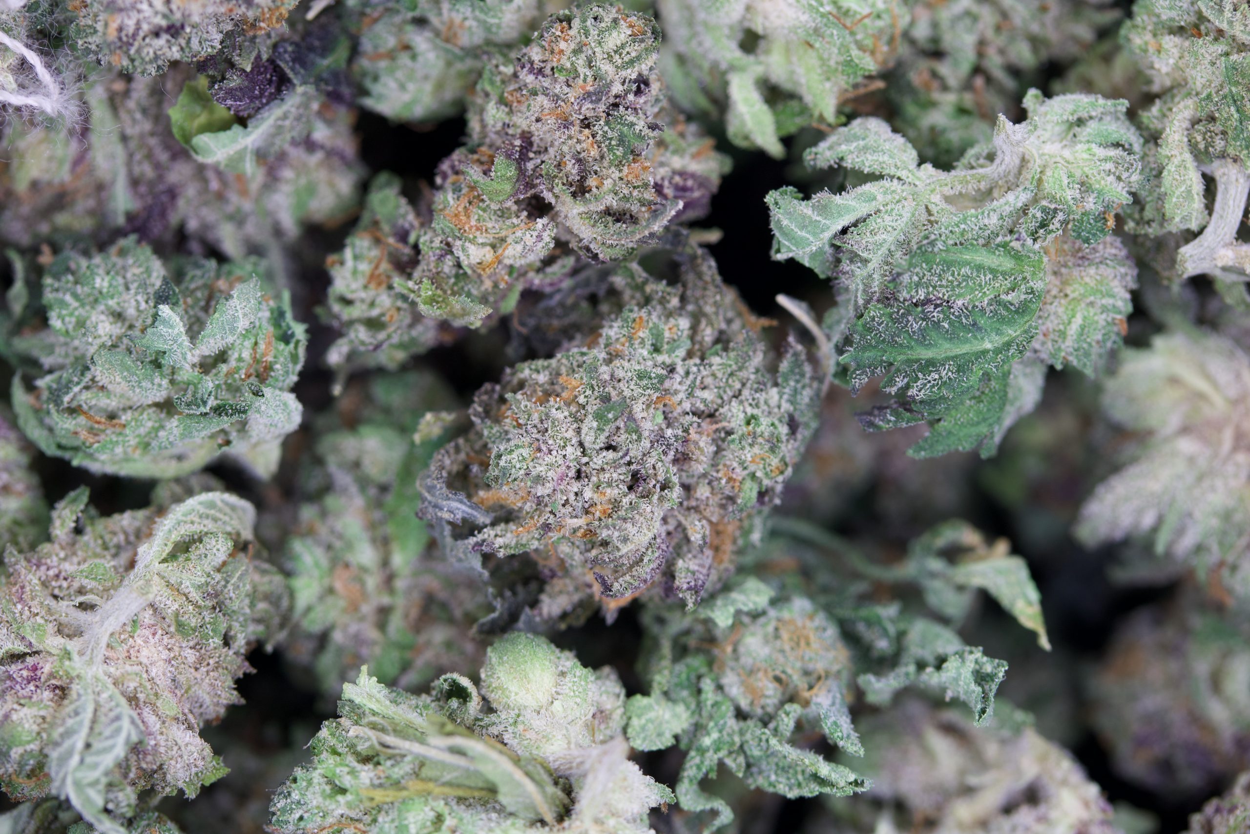 Grape Glue Smalls Hybrid anti-anxiety Grape Glue Smalls Hybrid anti-anxiety