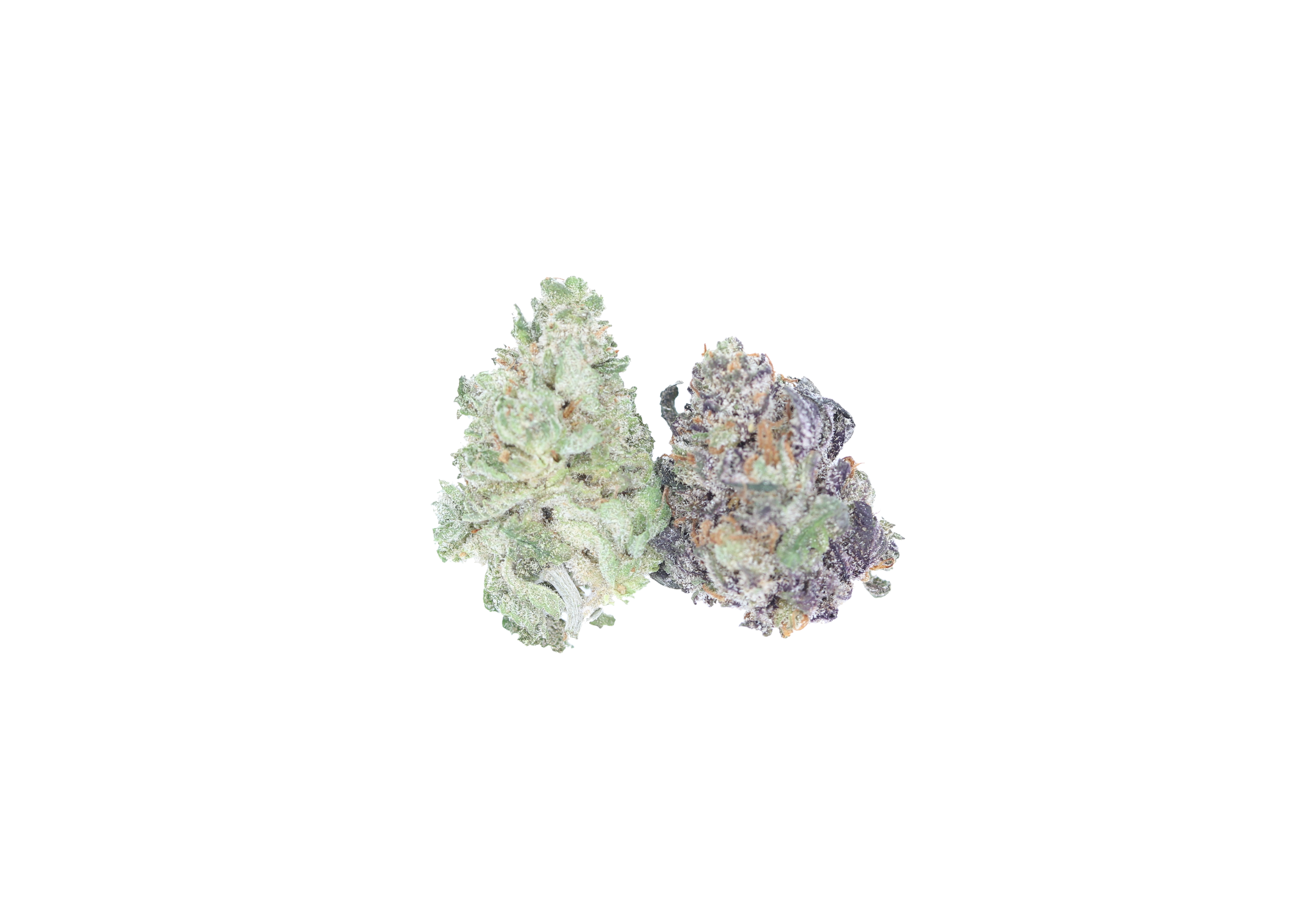 Grape Glue Smalls Hybrid anti-anxiety Grape Glue Smalls Hybrid anti-anxiety
