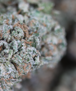 buy grape punch online