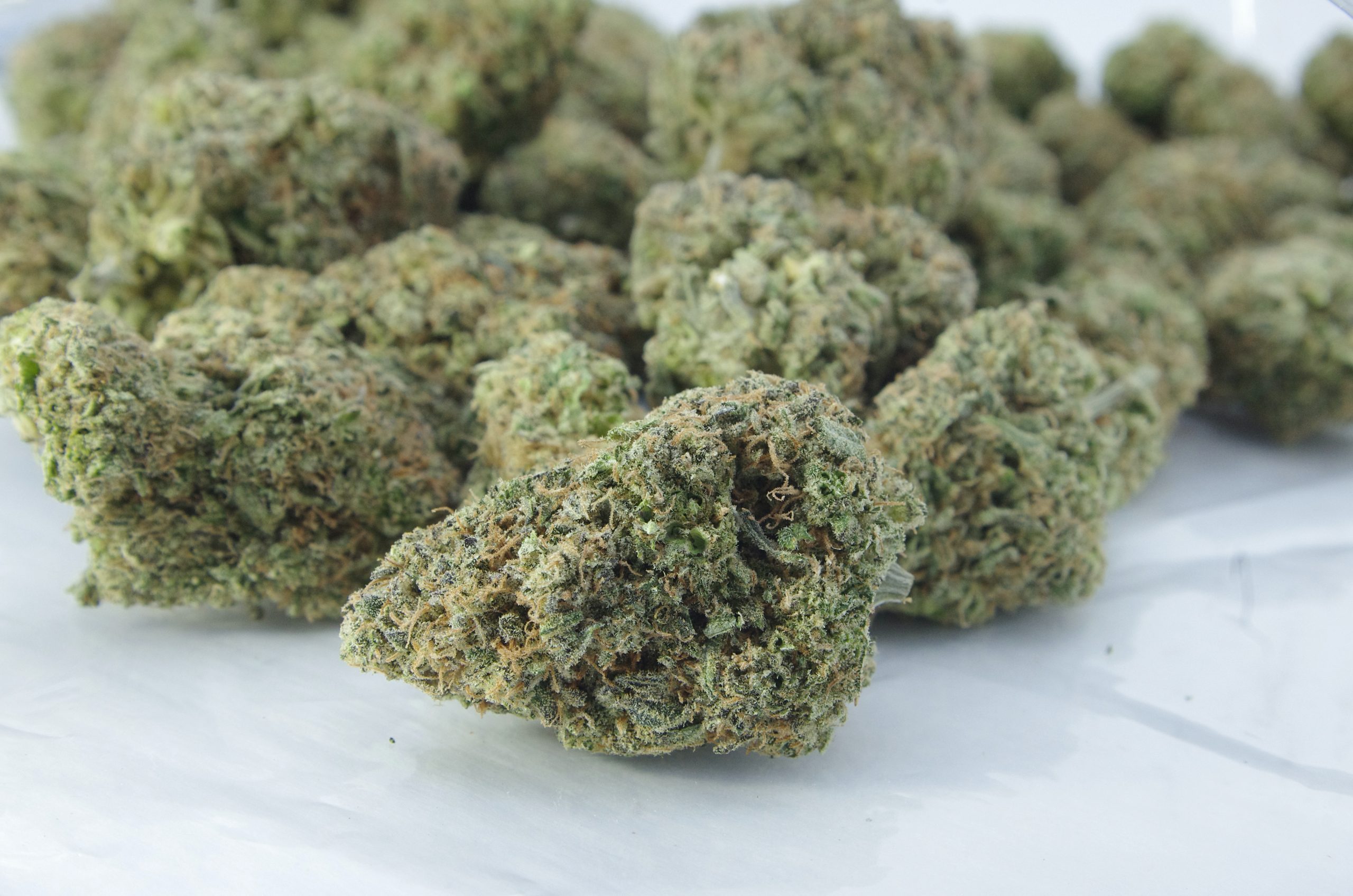 Grapefruit Diesel Oz Special Hybrid anti-anxiety Grapefruit Diesel Oz Special Hybrid anti-anxiety