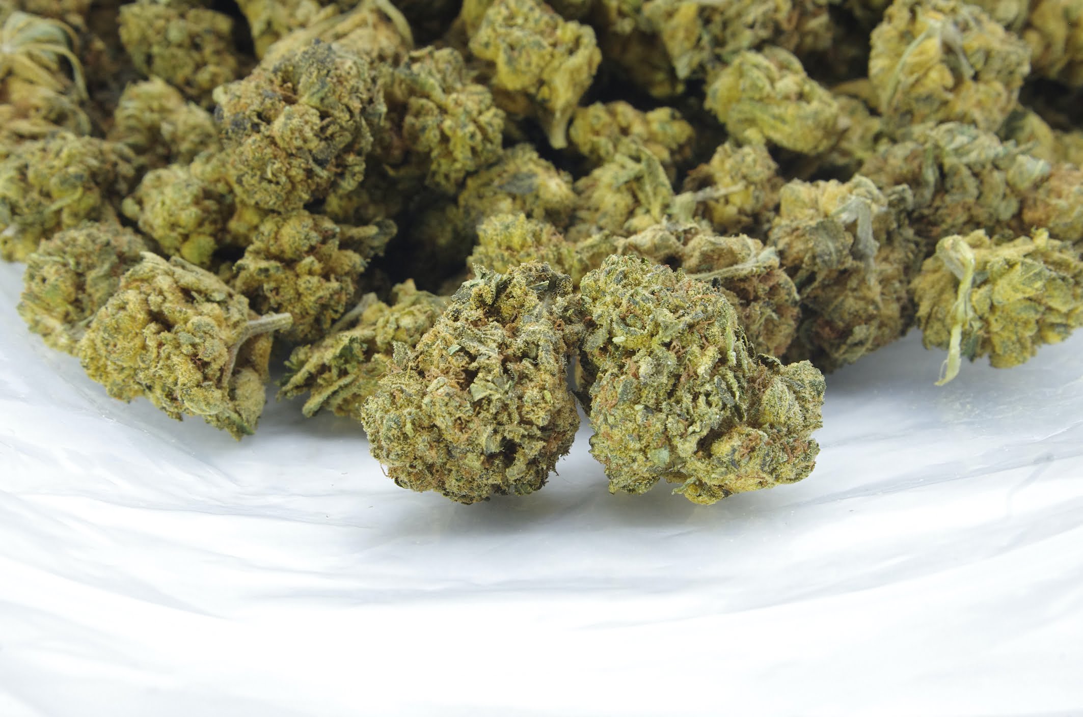 Grease Monkey Smalls Oz Special Hybrid anti-anxiety Grease Monkey Smalls Oz Special Hybrid anti-anxiety