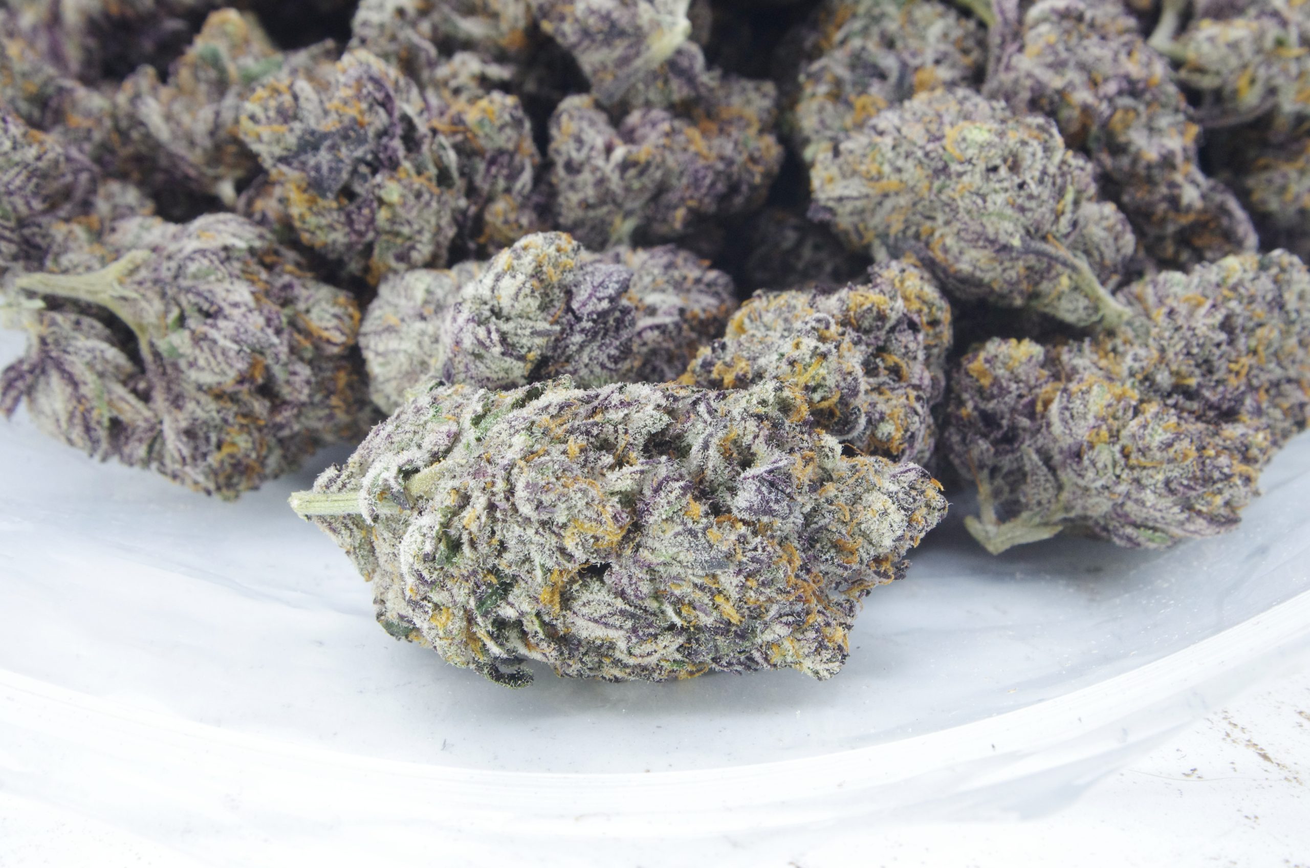 Gummy Bears (Oz Special) Hybrid anti-anxiety Gummy Bears (Oz Special) Hybrid anti-anxiety