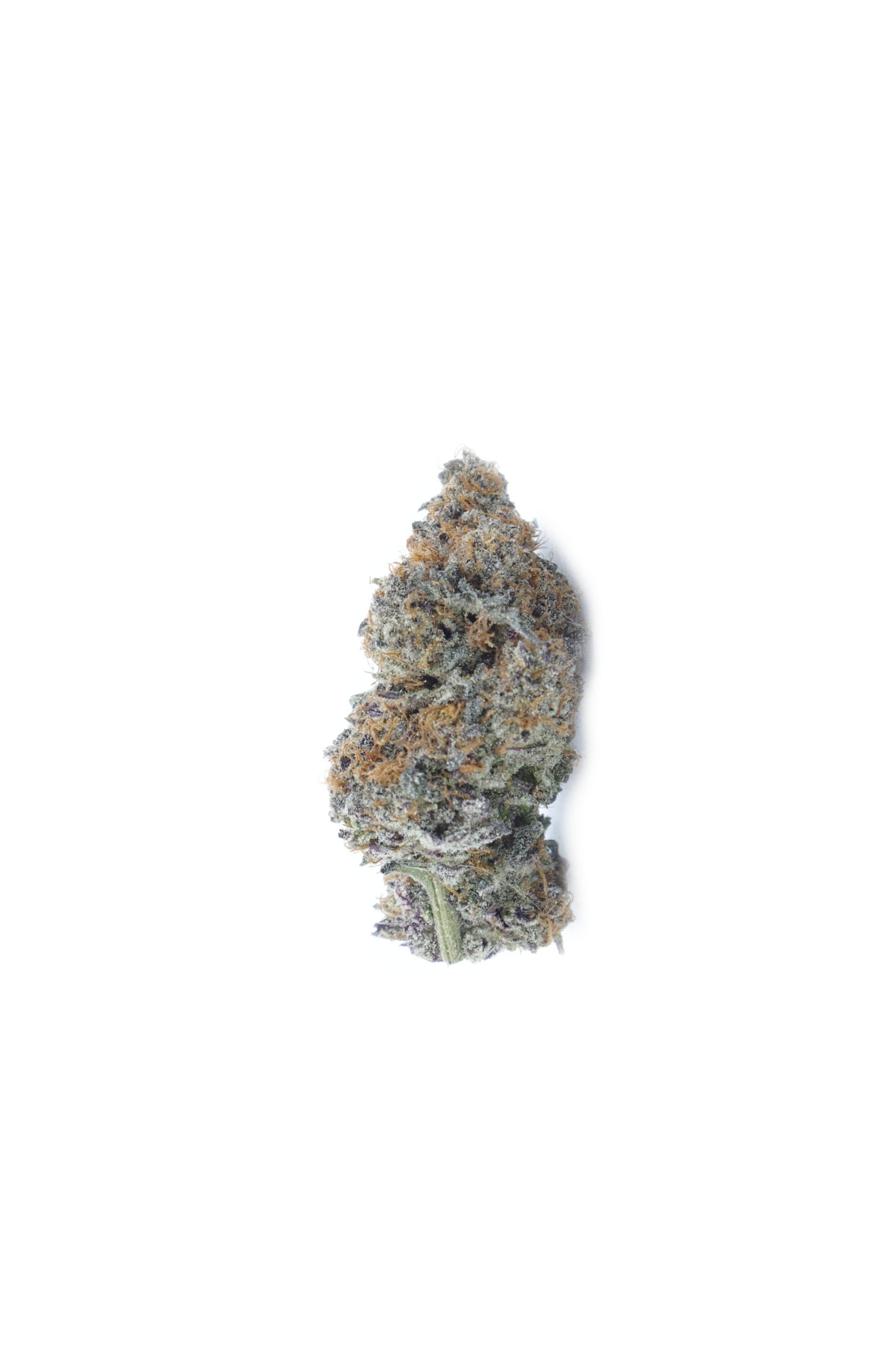 Humble Pie Oz Special Hybrid anti-anxiety Humble Pie Oz Special Hybrid anti-anxiety