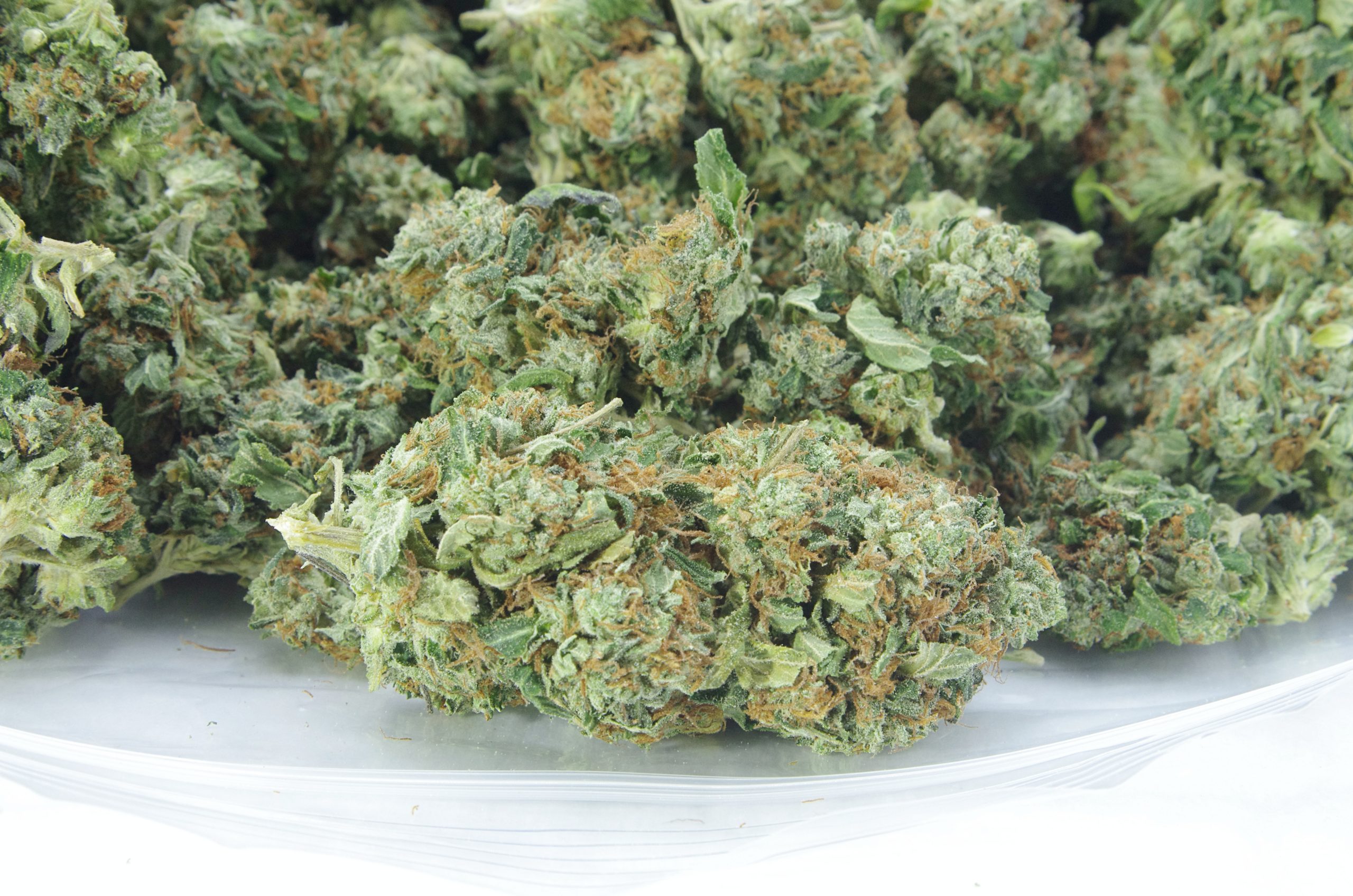 Island Pink Oz Special Indica anti-anxiety Island Pink Oz Special Indica anti-anxiety