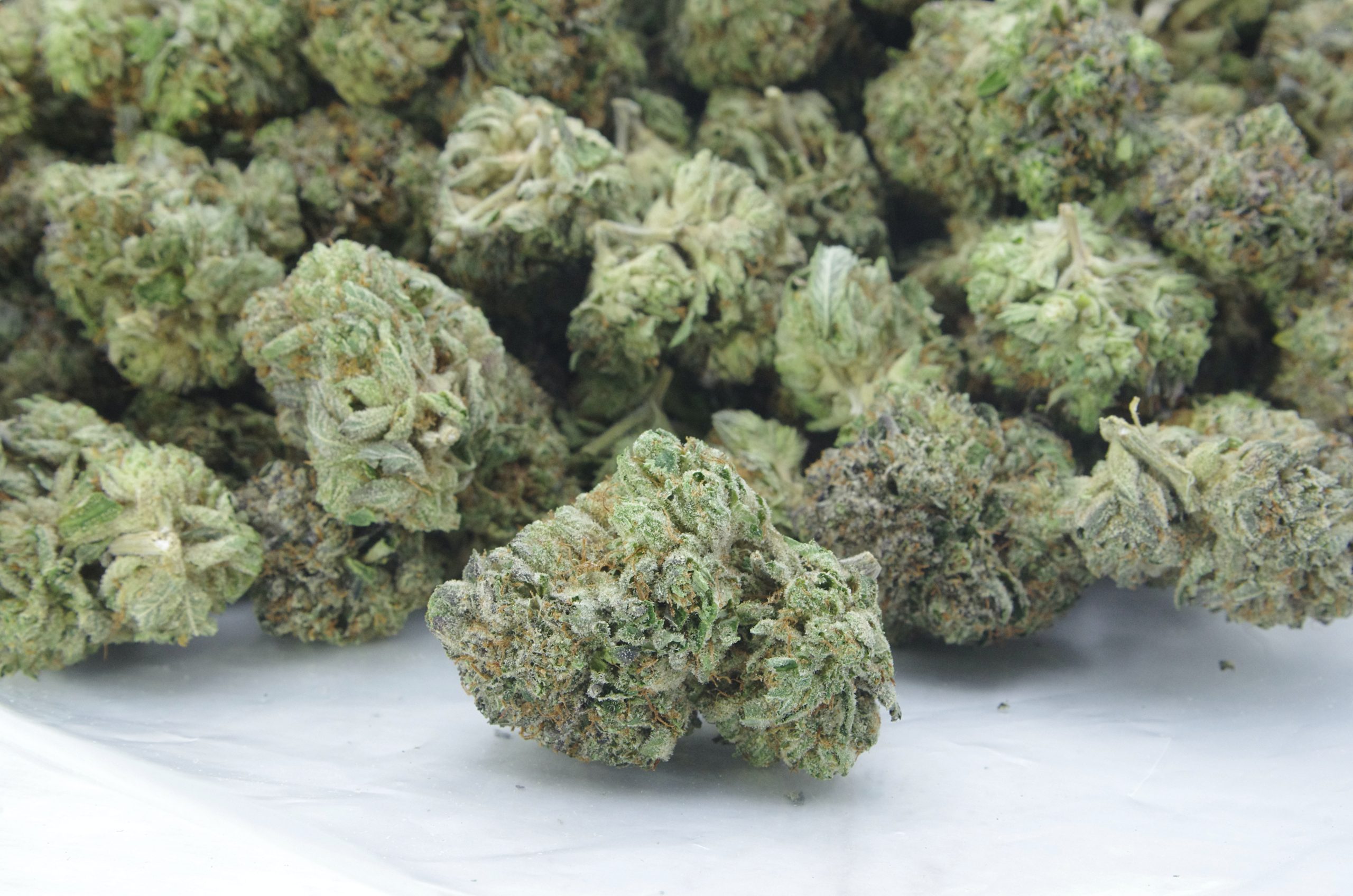 Island Pink Oz Special Indica Berries Island Pink Oz Special Indica Berries