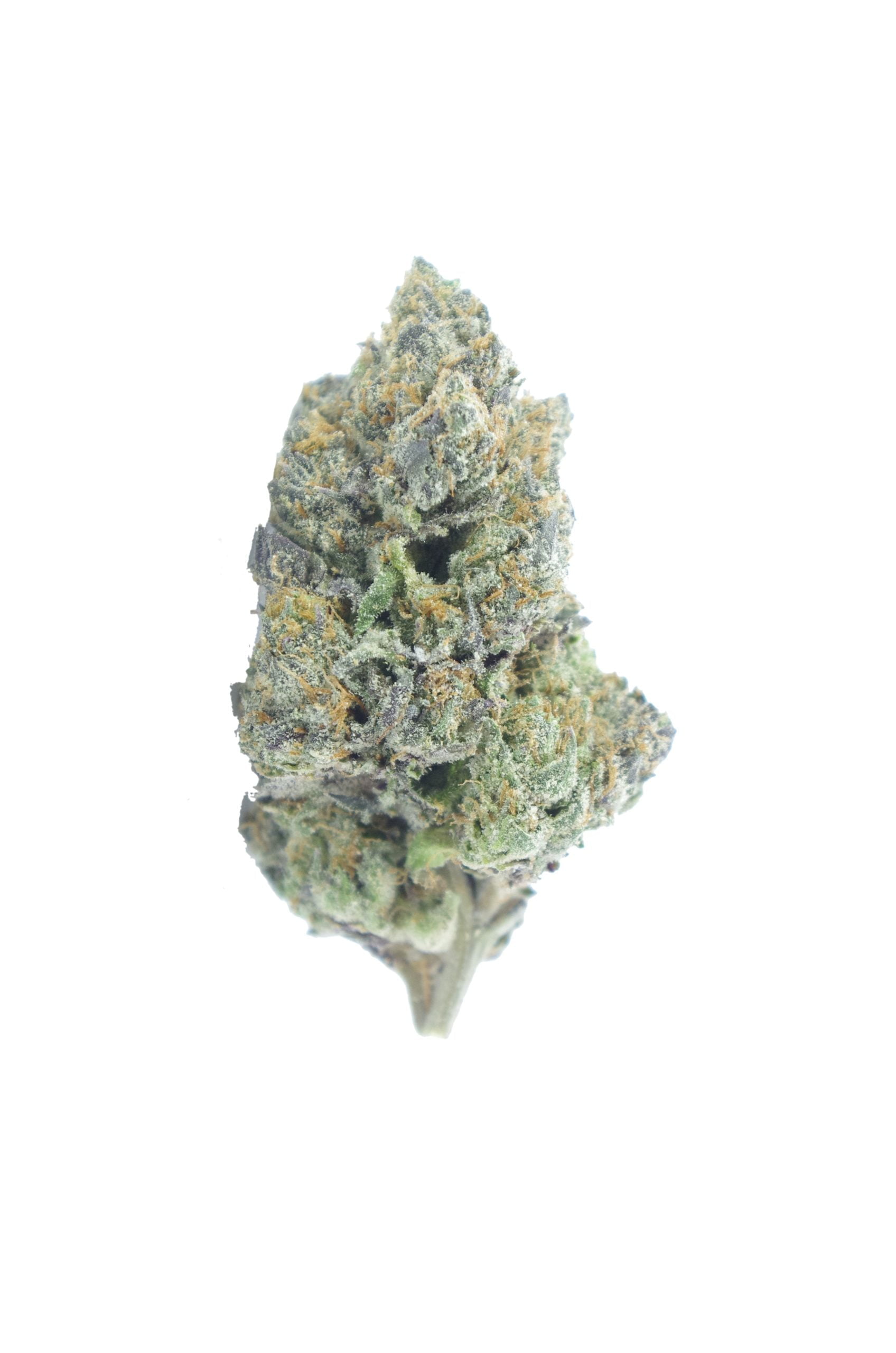 Jet Fuel Oz Special Hybrid anti-anxiety Jet Fuel Oz Special Hybrid anti-anxiety