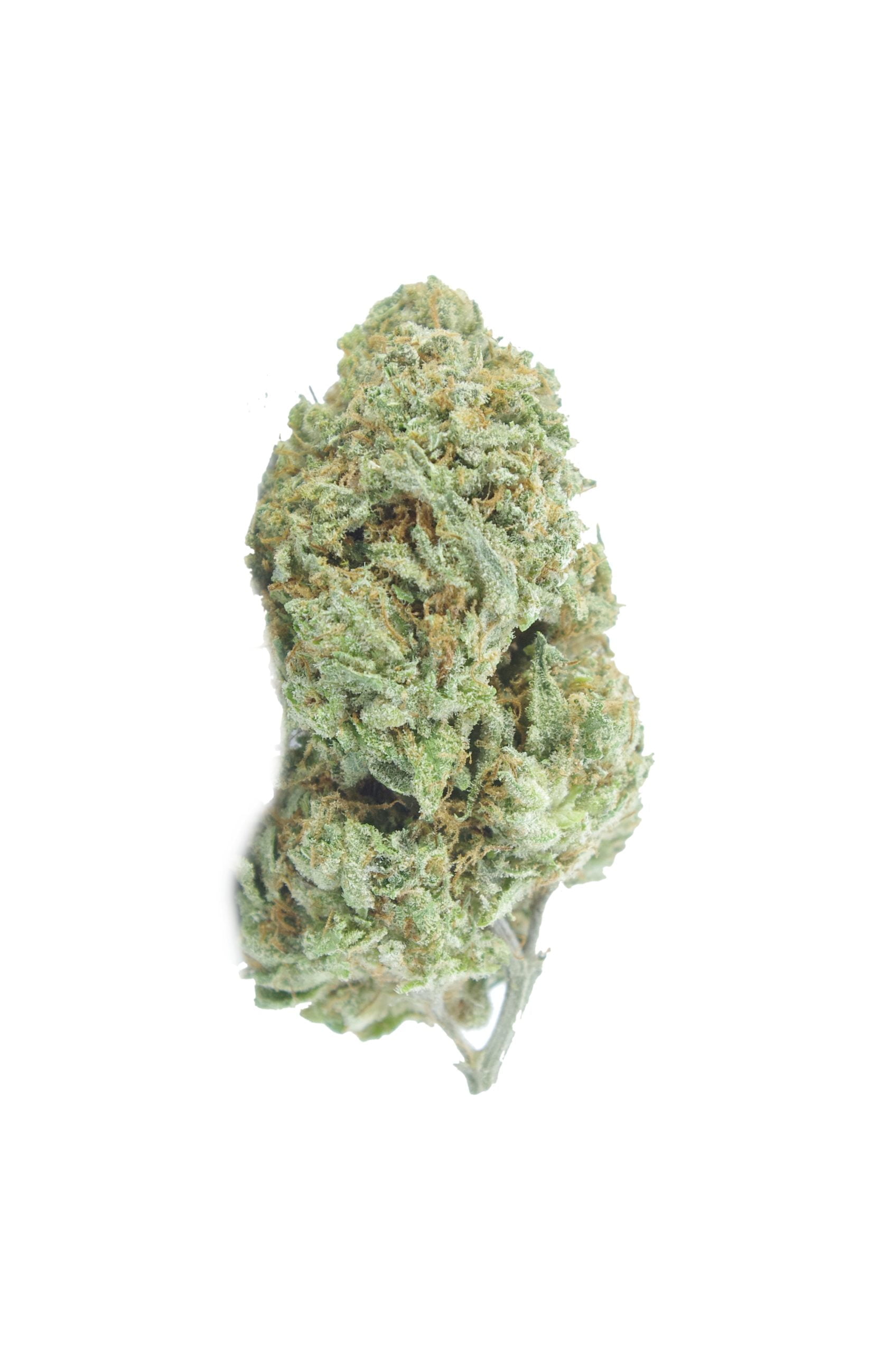 Juicy Fruit OG Grams Hybrid anti-anxiety Juicy Fruit OG Grams Hybrid anti-anxiety