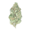buy key lime pie online