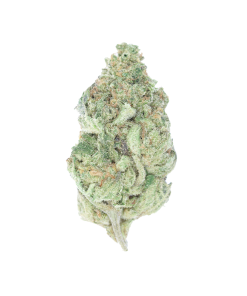 buy key lime pie online