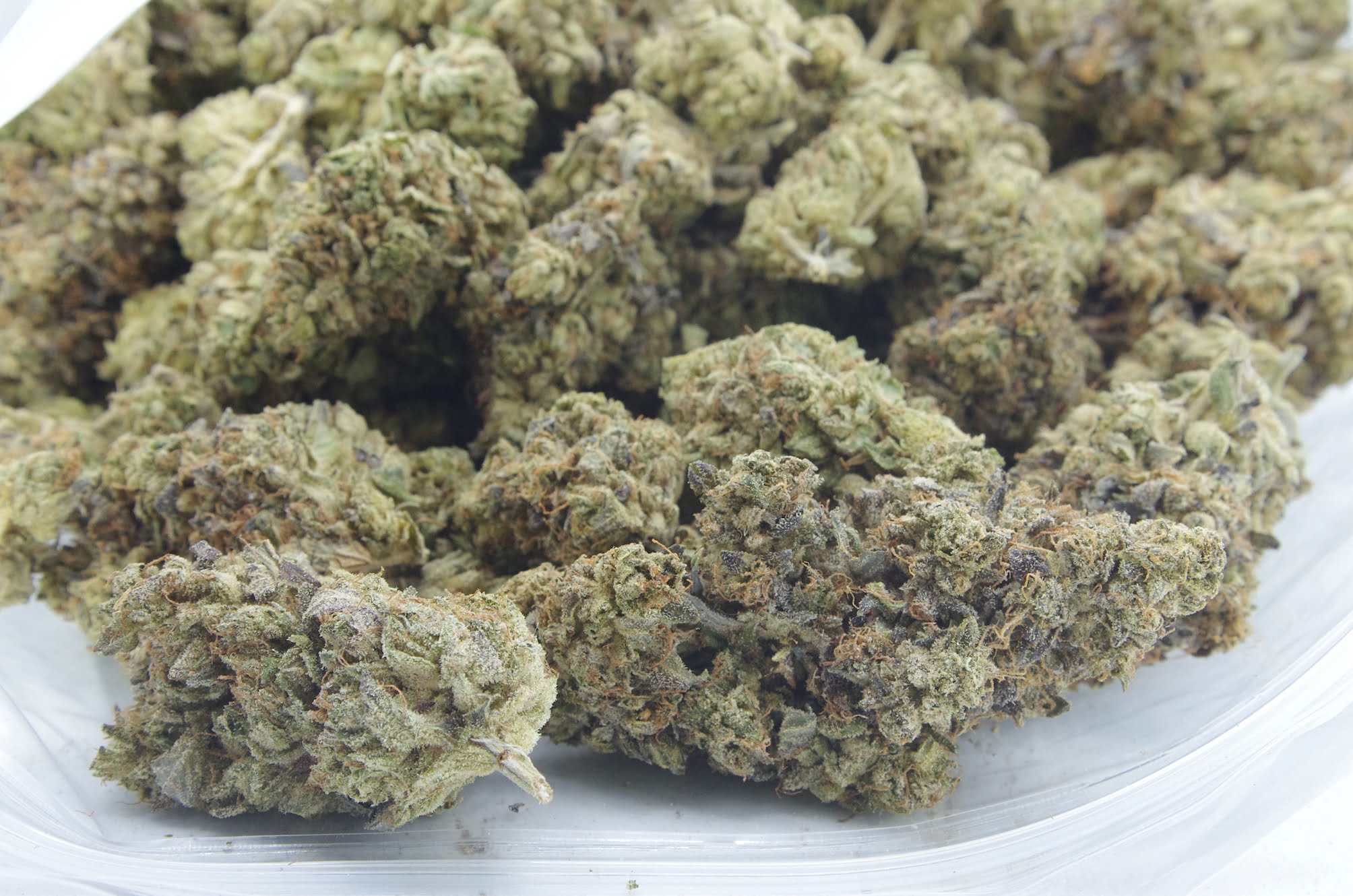 LA Confidential Oz Special Indica LA Confidential Oz Special Indica