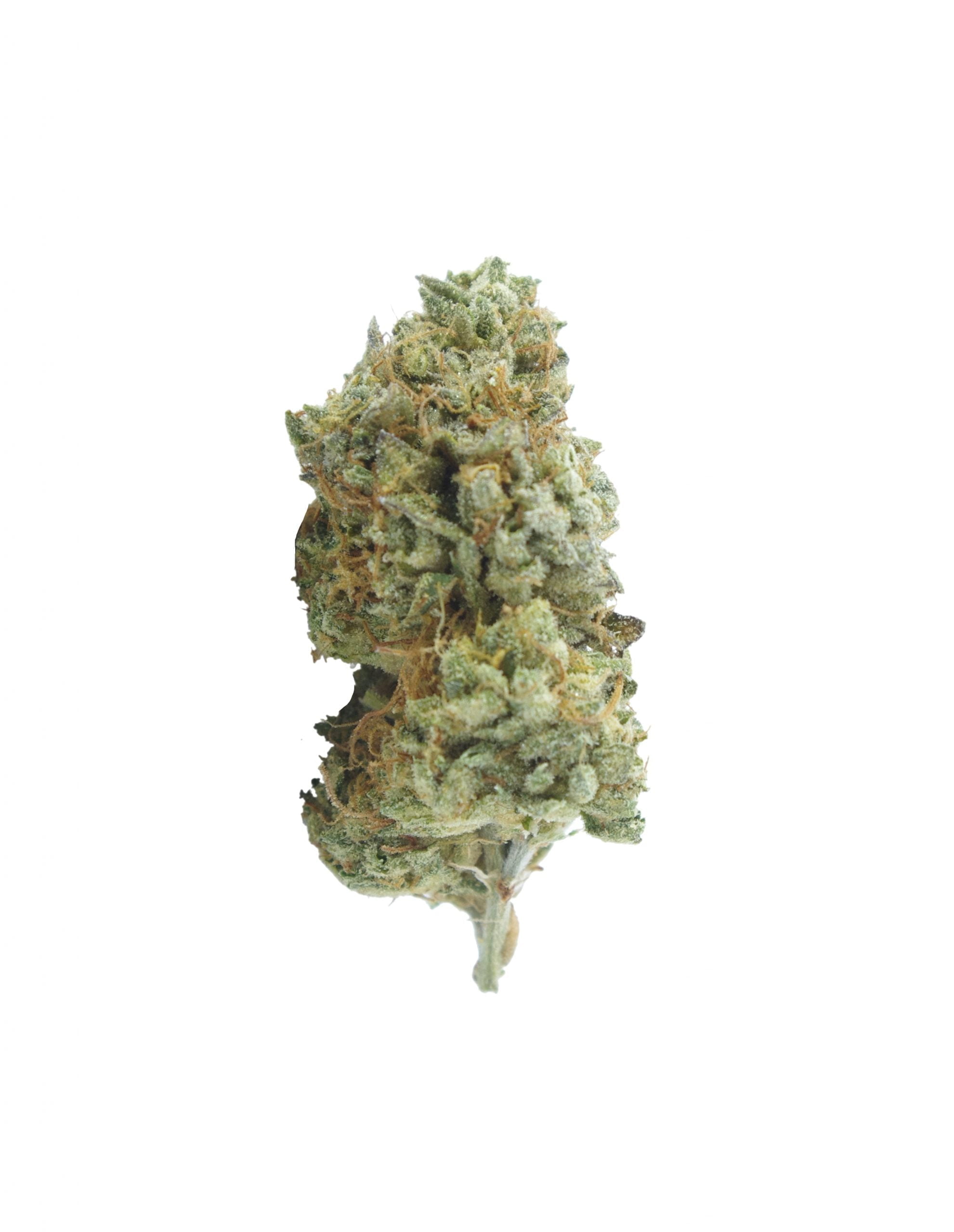 Layer Cake Oz Special Hybrid anti-anxiety Layer Cake Oz Special Hybrid anti-anxiety
