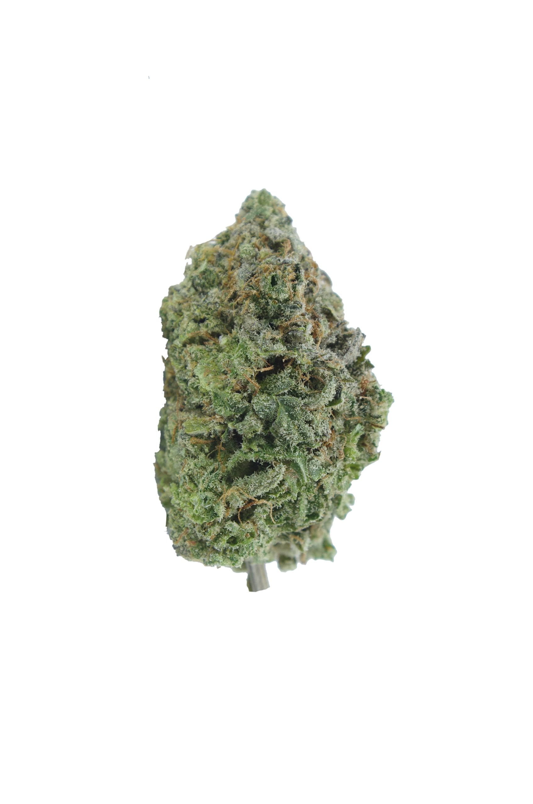 Van Island Exotics – Lemon Candy (Oz Special) Hybrid anti-anxiety Van Island Exotics – Lemon Candy (Oz Special) Hybrid anti-anxiety