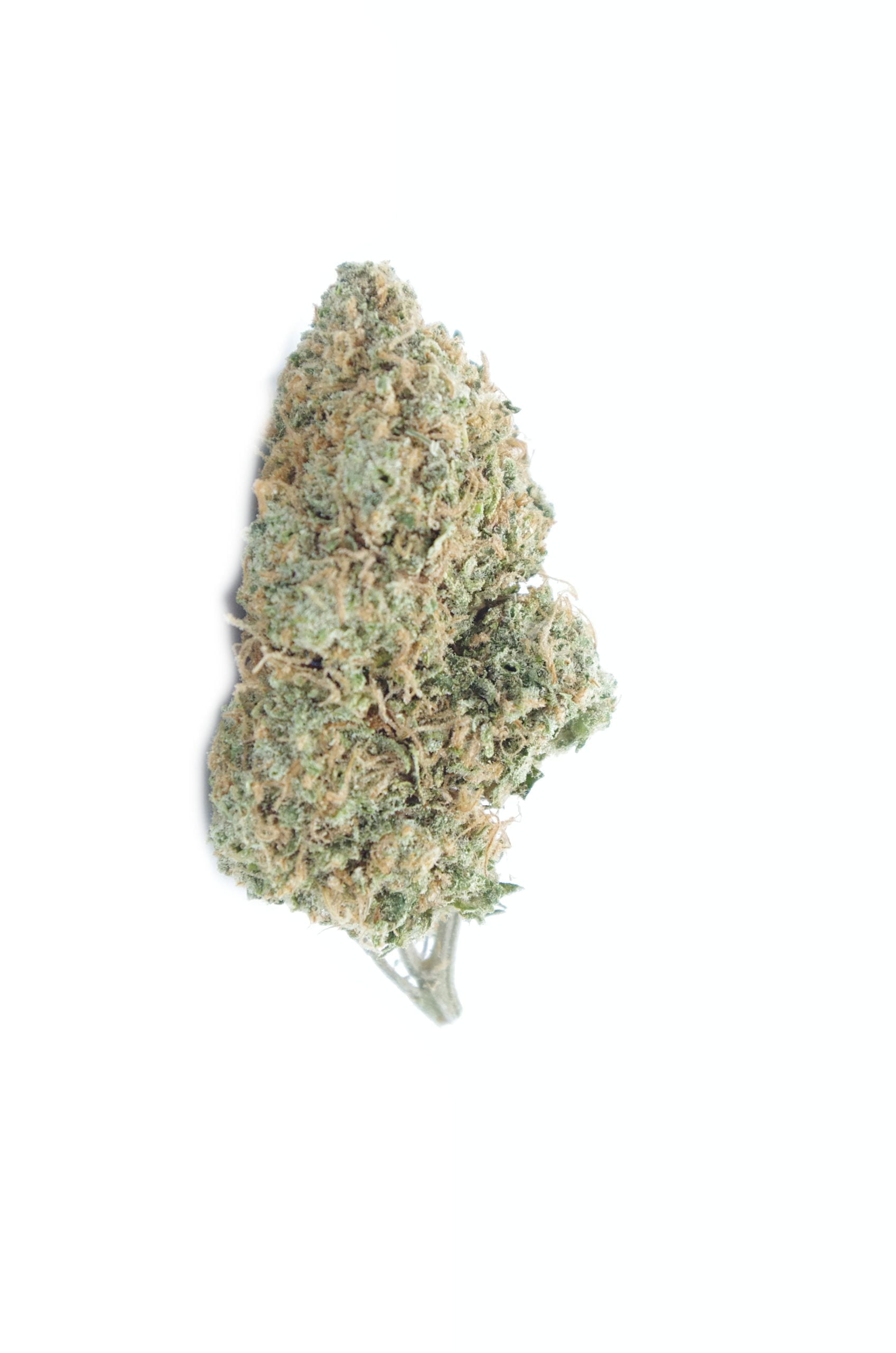 Lemon OG Oz Special Hybrid anti-anxiety Lemon OG Oz Special Hybrid anti-anxiety