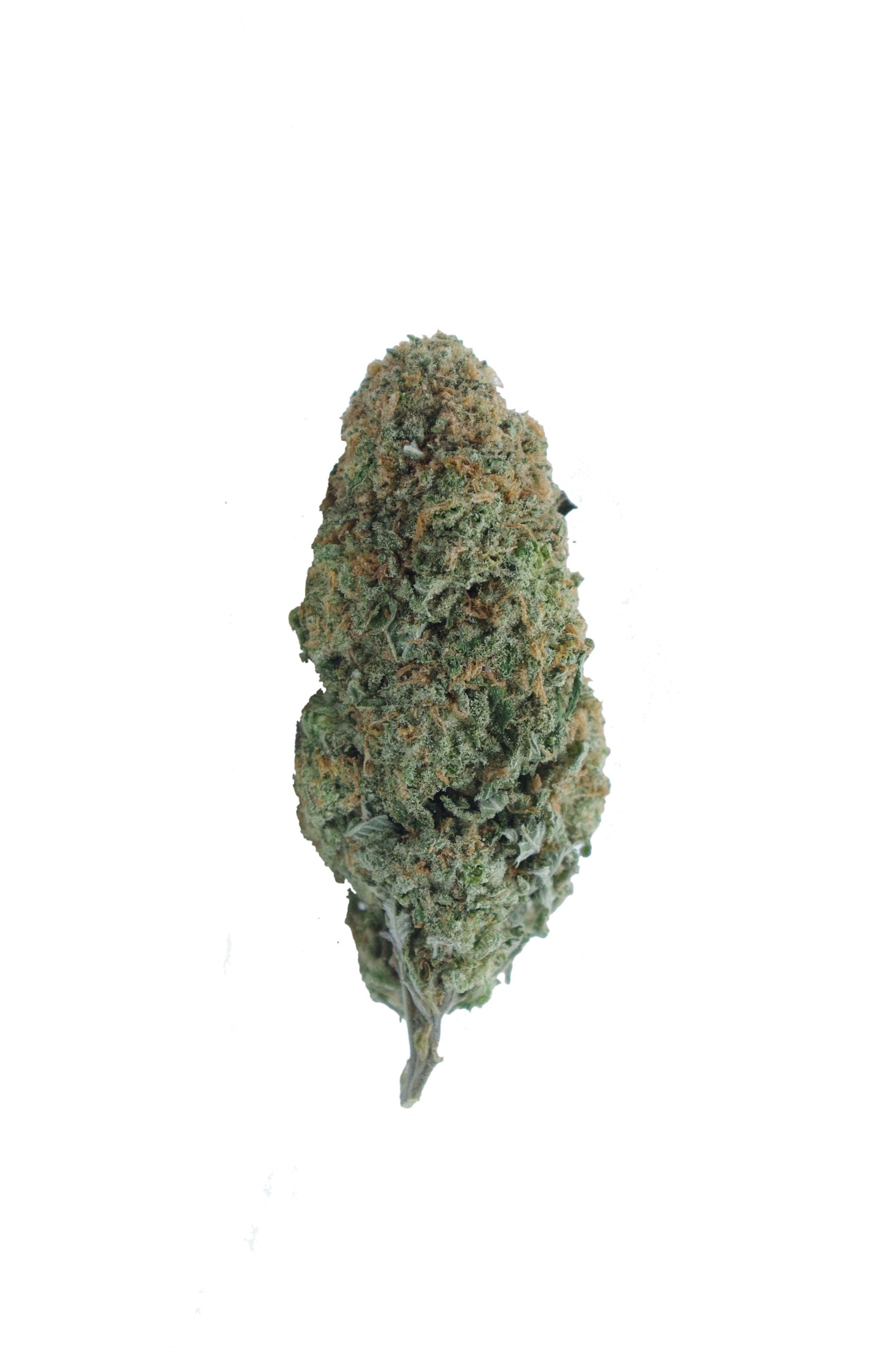 Mango Peyote Oz Special Sativa anti-anxiety Mango Peyote Oz Special Sativa anti-anxiety