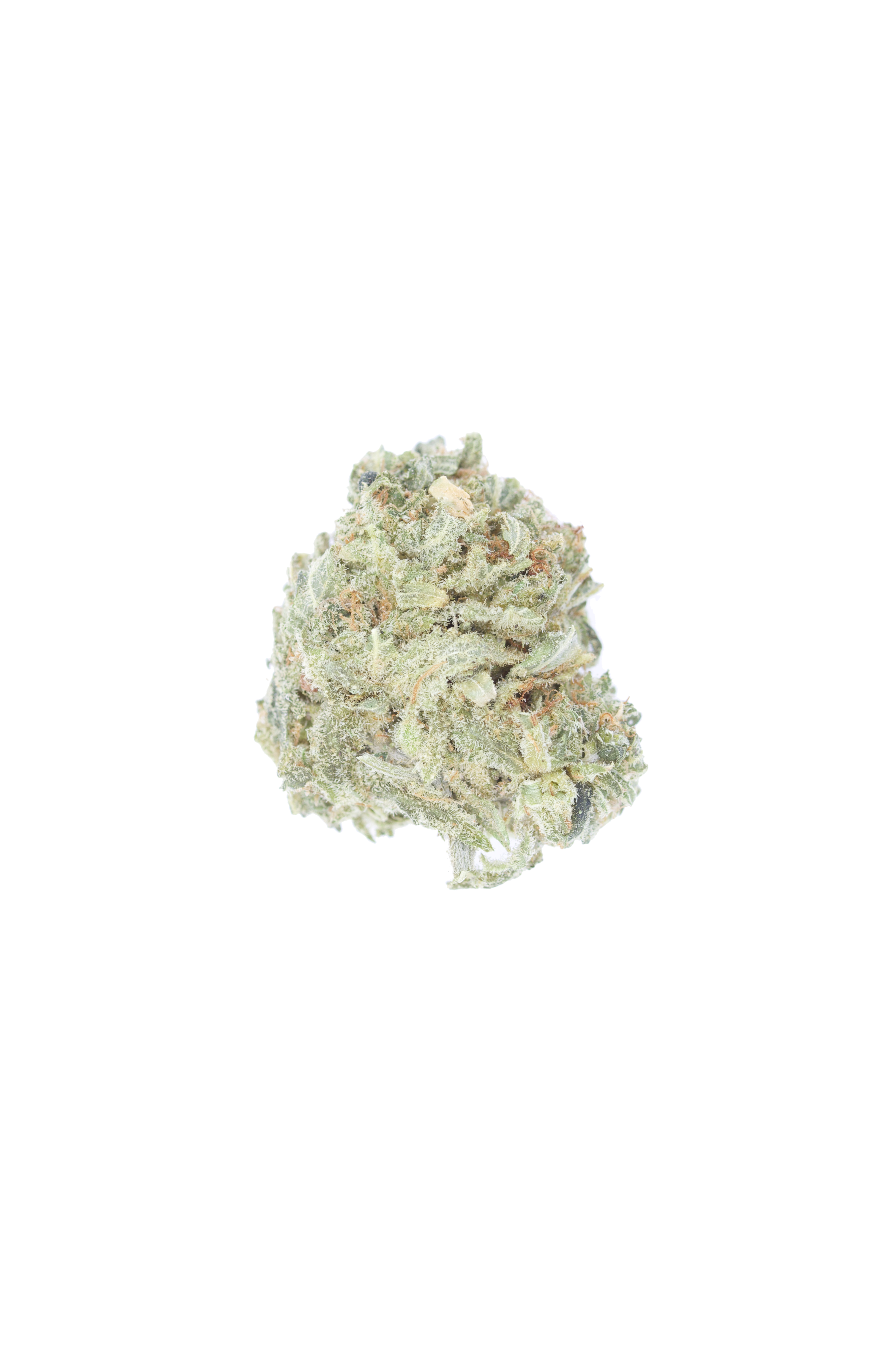 Mint Haze Sativa anti-anxiety Mint Haze Sativa anti-anxiety