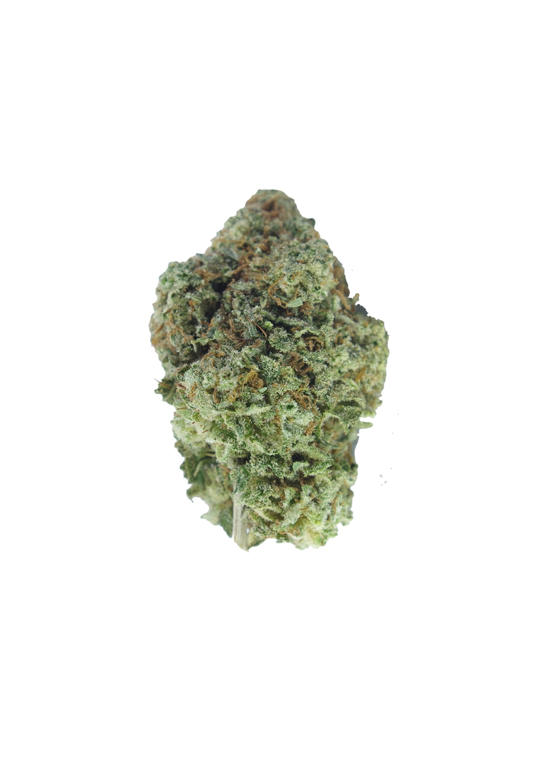 Northern Lights Oz Special Indica anti-anxiety Northern Lights Oz Special Indica anti-anxiety