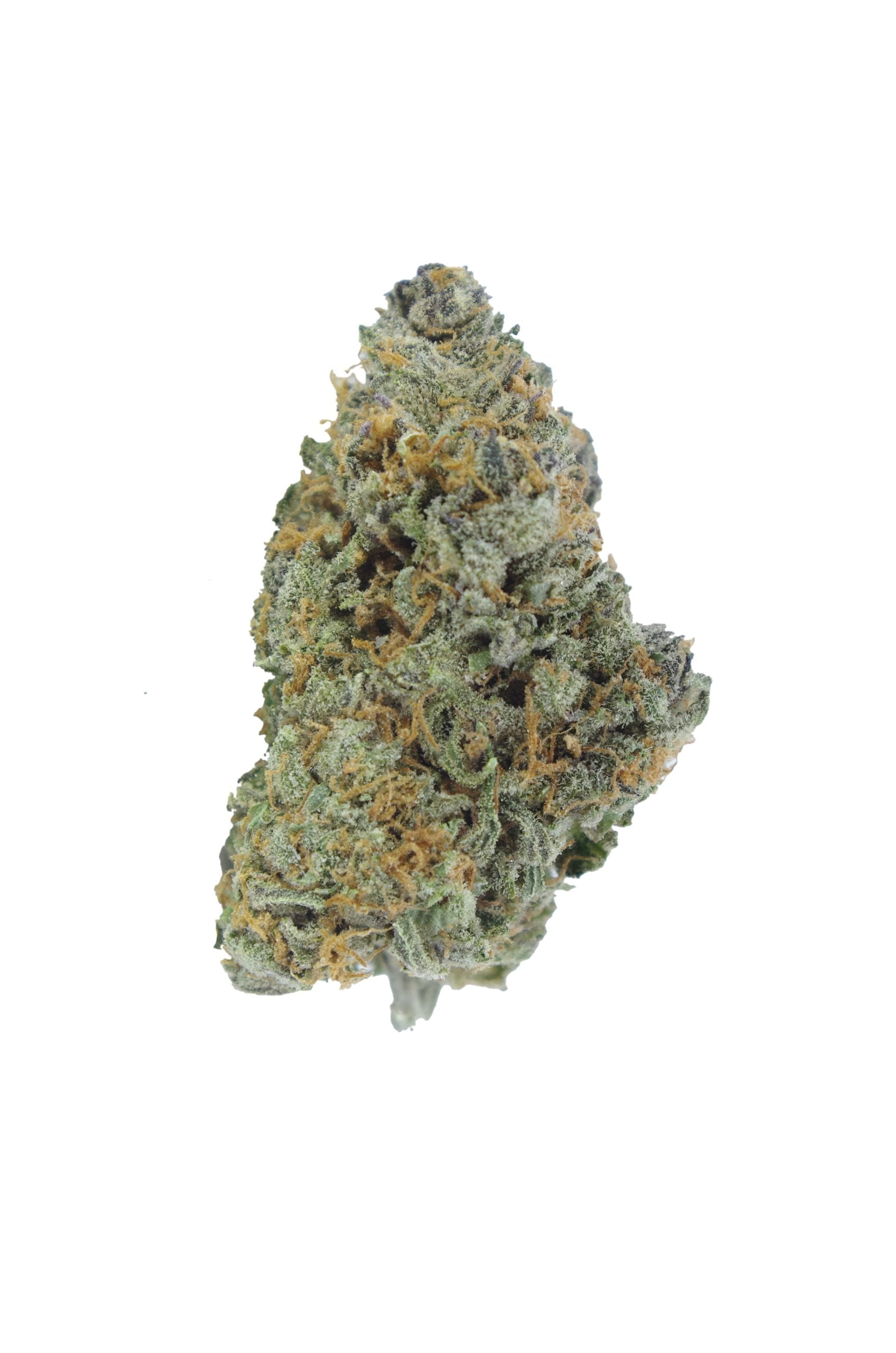 OG Cheese (Oz Special) Hybrid anti-anxiety OG Cheese (Oz Special) Hybrid anti-anxiety