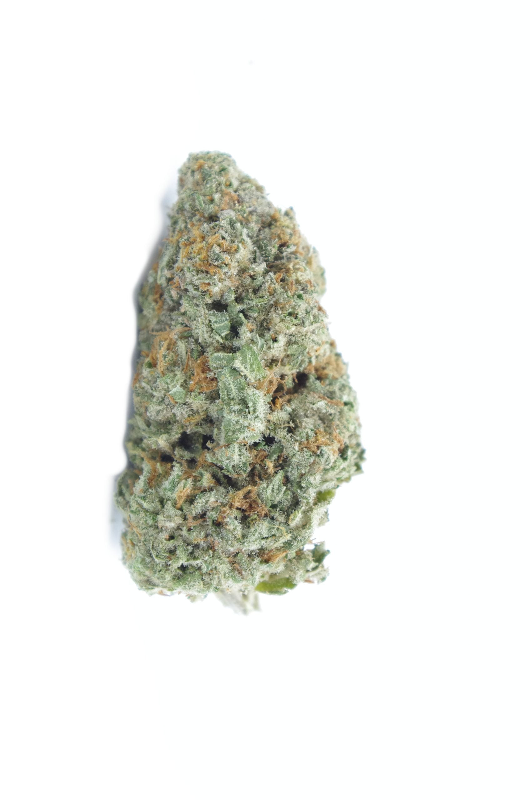 Orange Cookies (Oz Special) Hybrid anti-anxiety Orange Cookies (Oz Special) Hybrid anti-anxiety