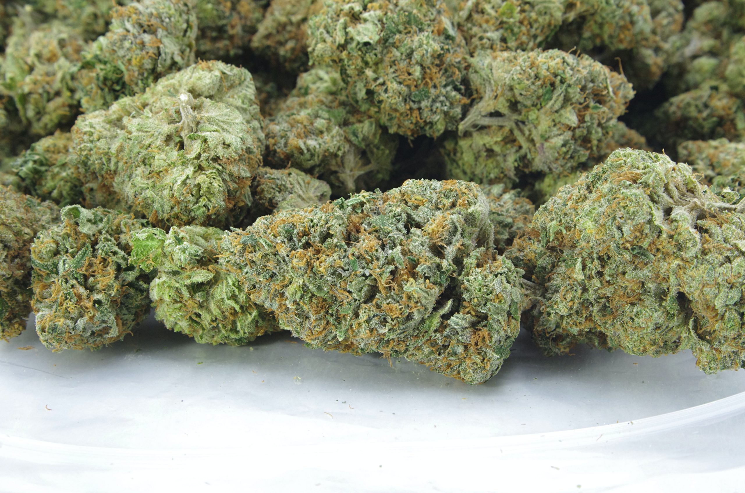 OG Diesel (Oz Special) Hybrid anti-anxiety OG Diesel (Oz Special) Hybrid anti-anxiety