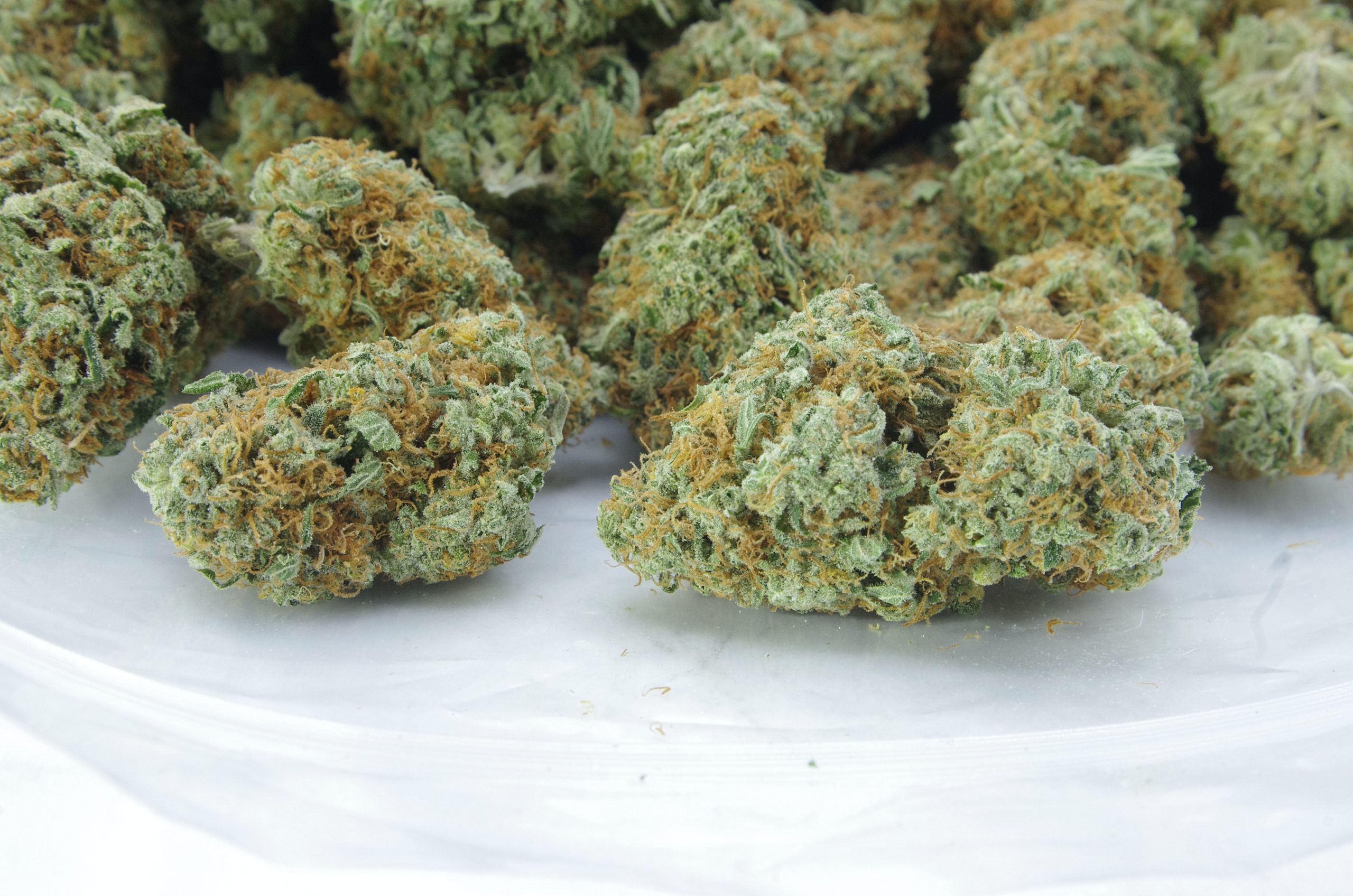Original Haze (3.5G) Sativa anti-anxiety Original Haze (3.5G) Sativa anti-anxiety