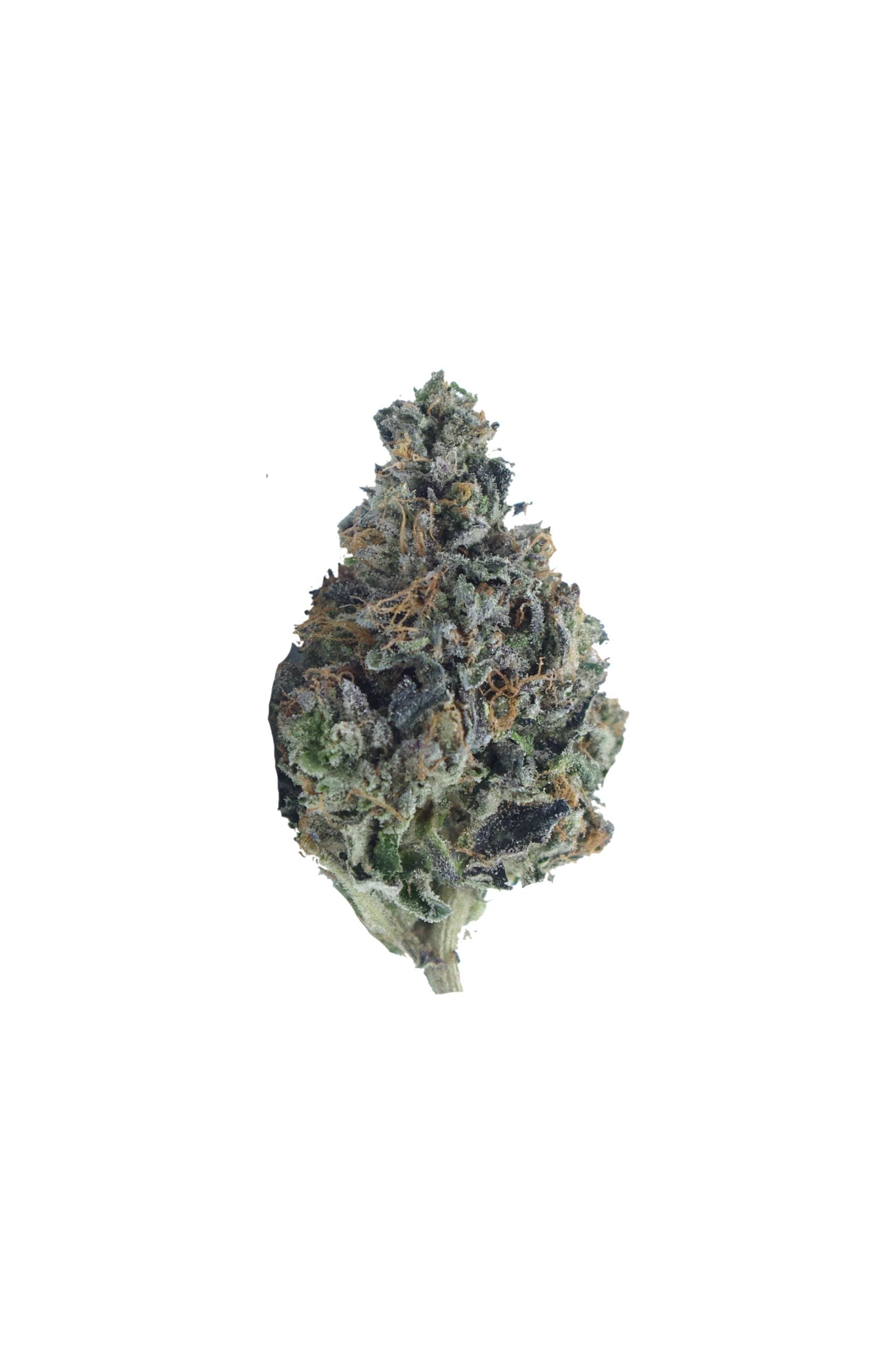 Quattro Pink Oz Special Indica Quattro Pink Oz Special Indica