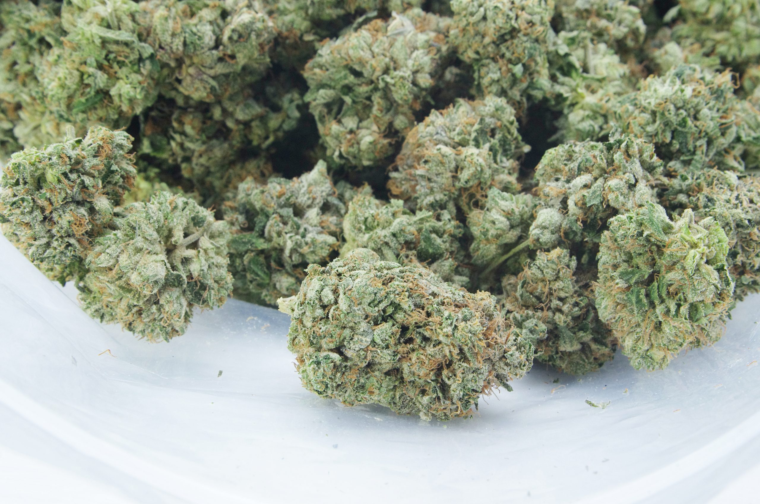 Pink Skunk Oz Special Indica anti-anxiety Pink Skunk Oz Special Indica anti-anxiety