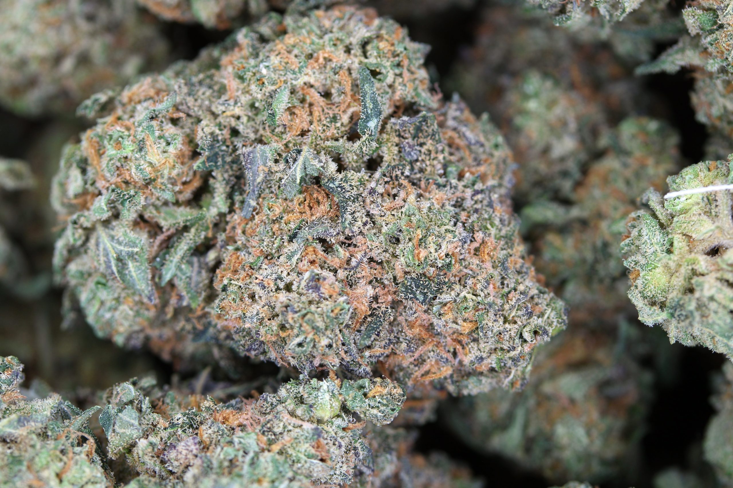 Pure Michigan Indica Cannabis Flower Pure Michigan Indica Cannabis Flower