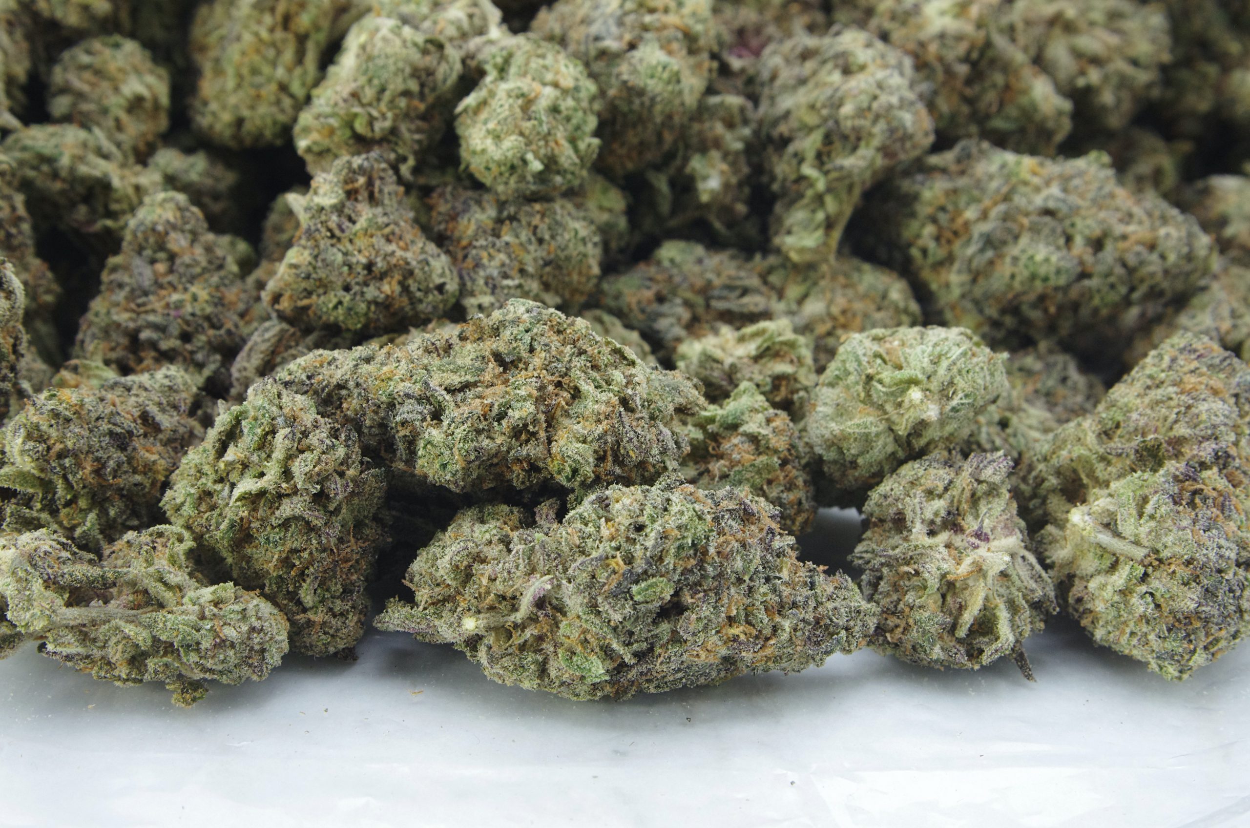 Purple Zkittlez Oz Special Indica anti-anxiety Purple Zkittlez Oz Special Indica anti-anxiety