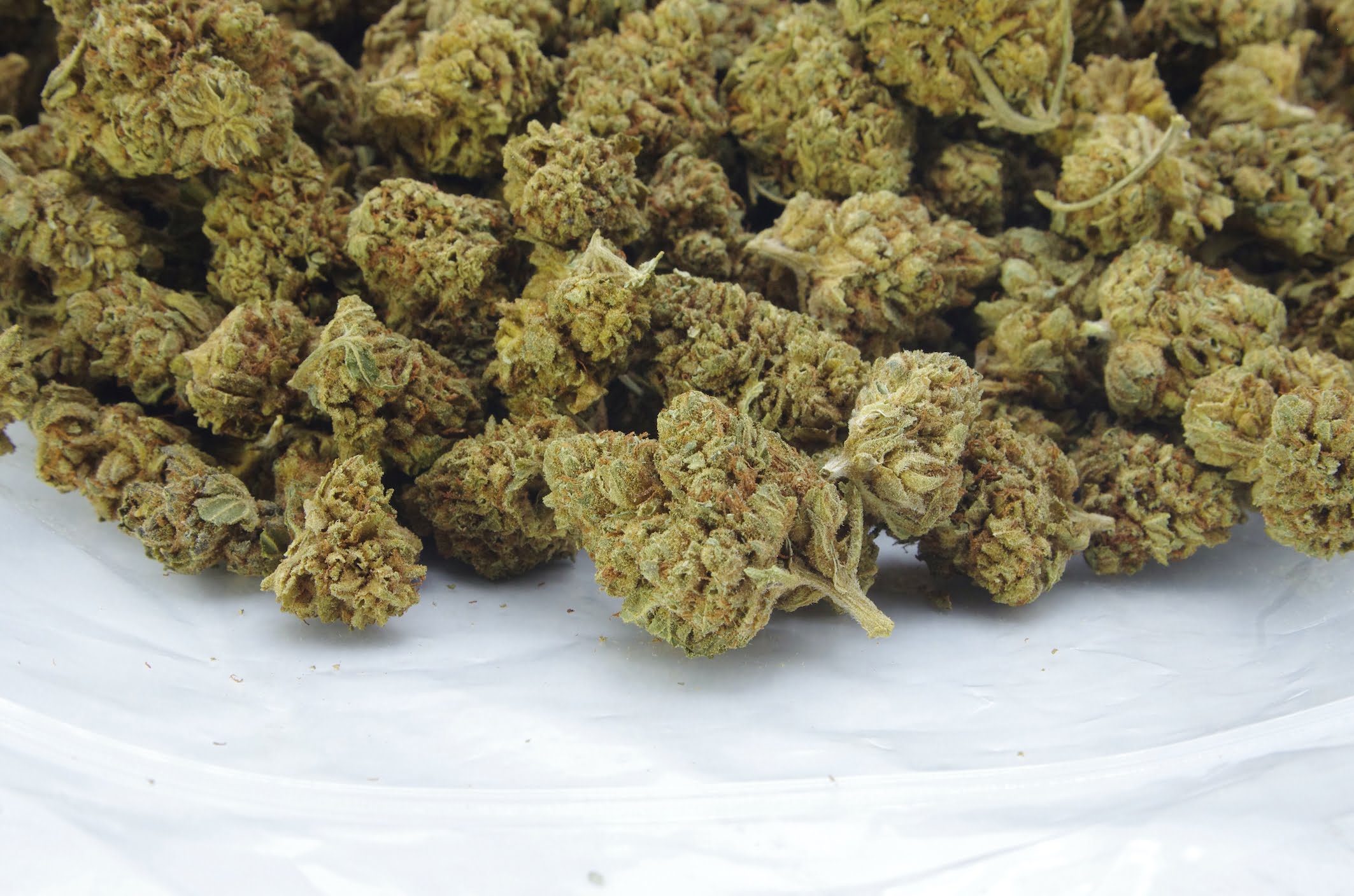 Earth OG Oz Special Hybrid anti-anxiety Earth OG Oz Special Hybrid anti-anxiety