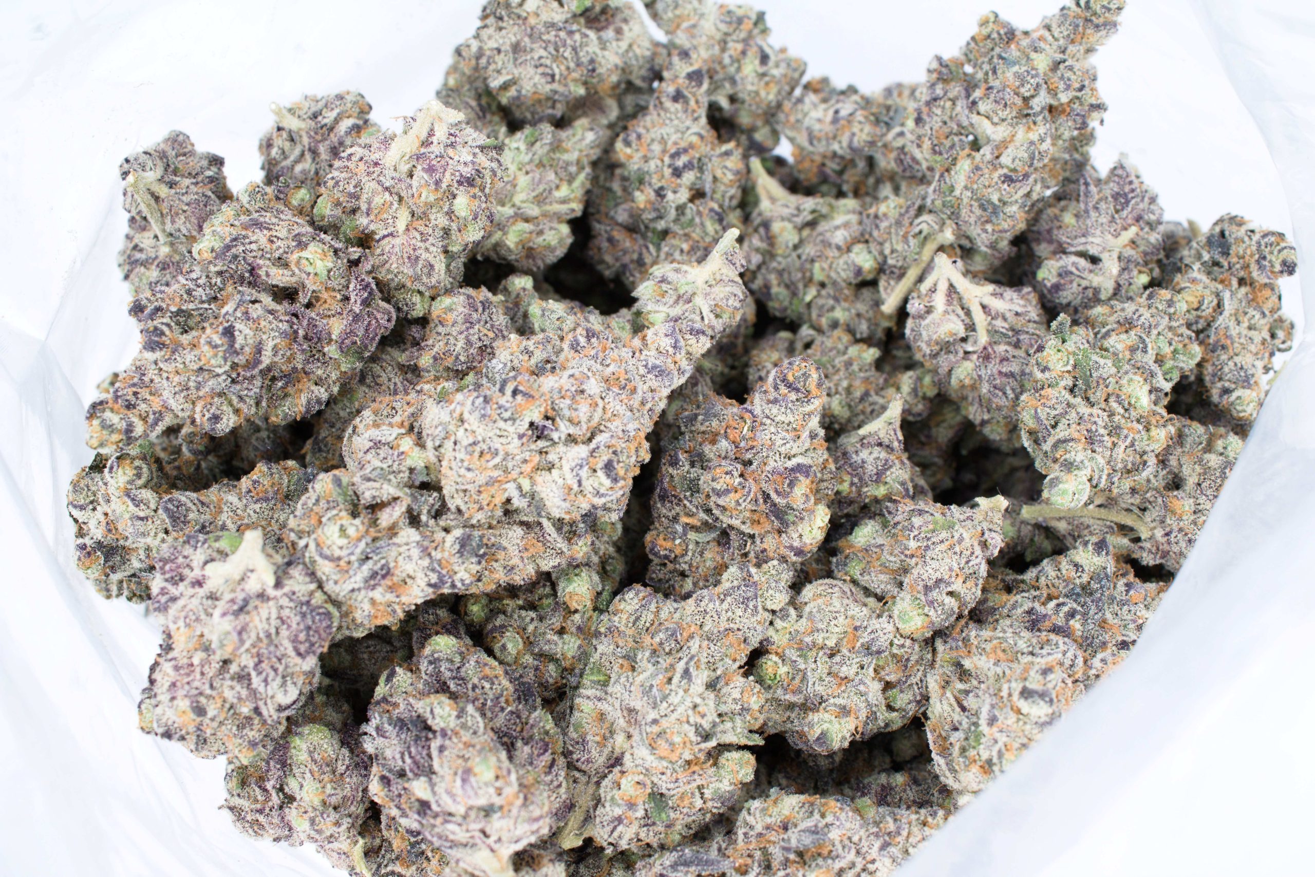 Van Island Exotics Rainbow Zkittles Sativa Van Island Exotics Rainbow Zkittles Sativa