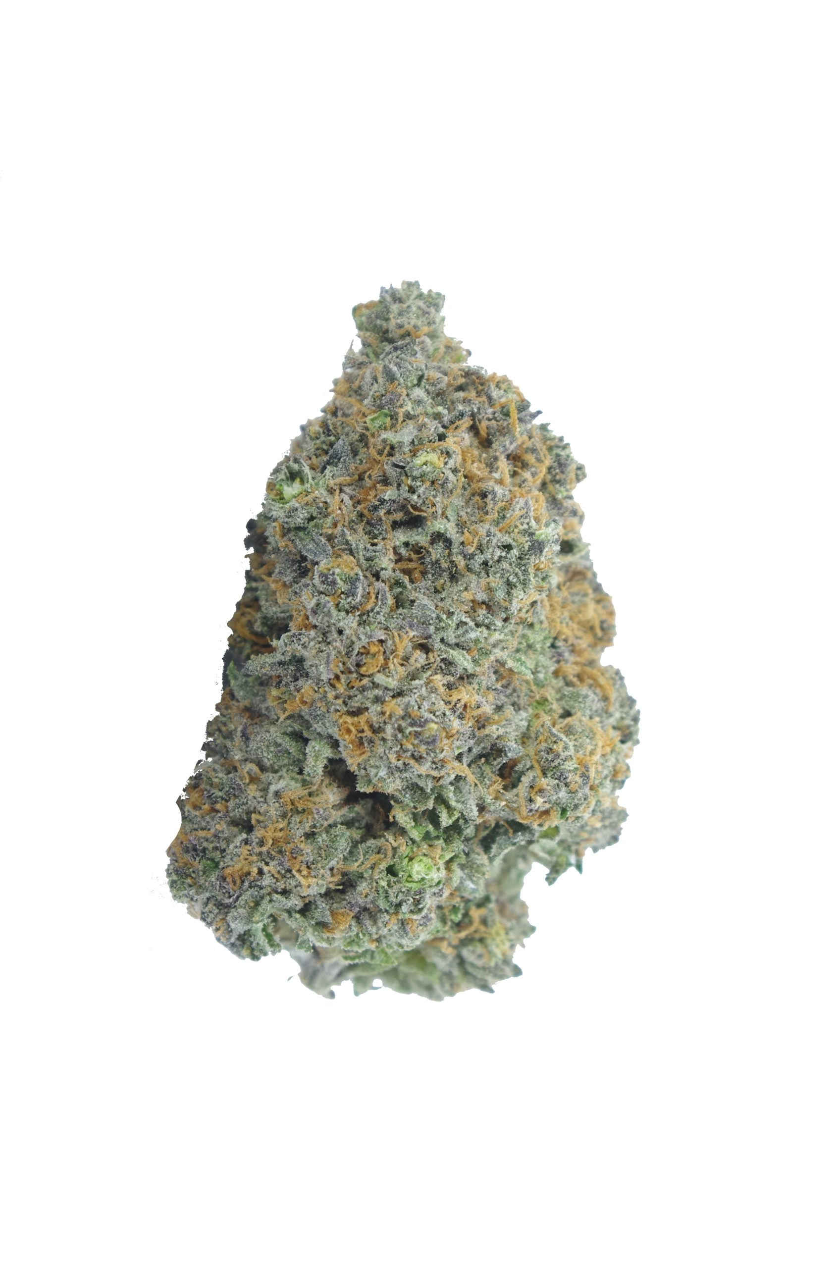 Rainbow Kush Oz Special Hybrid Berries Rainbow Kush Oz Special Hybrid Berries