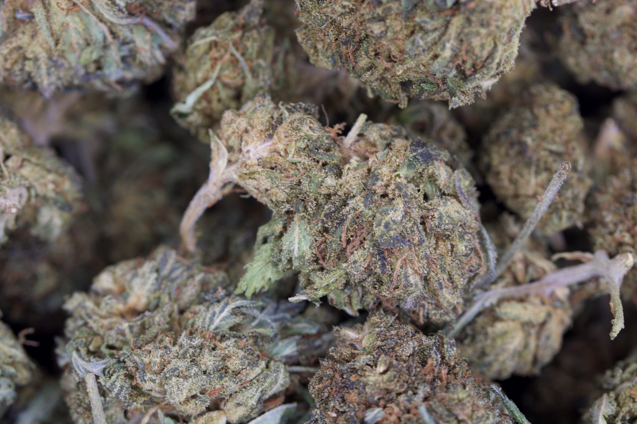 Royal OG Indica anti-anxiety Royal OG Indica anti-anxiety