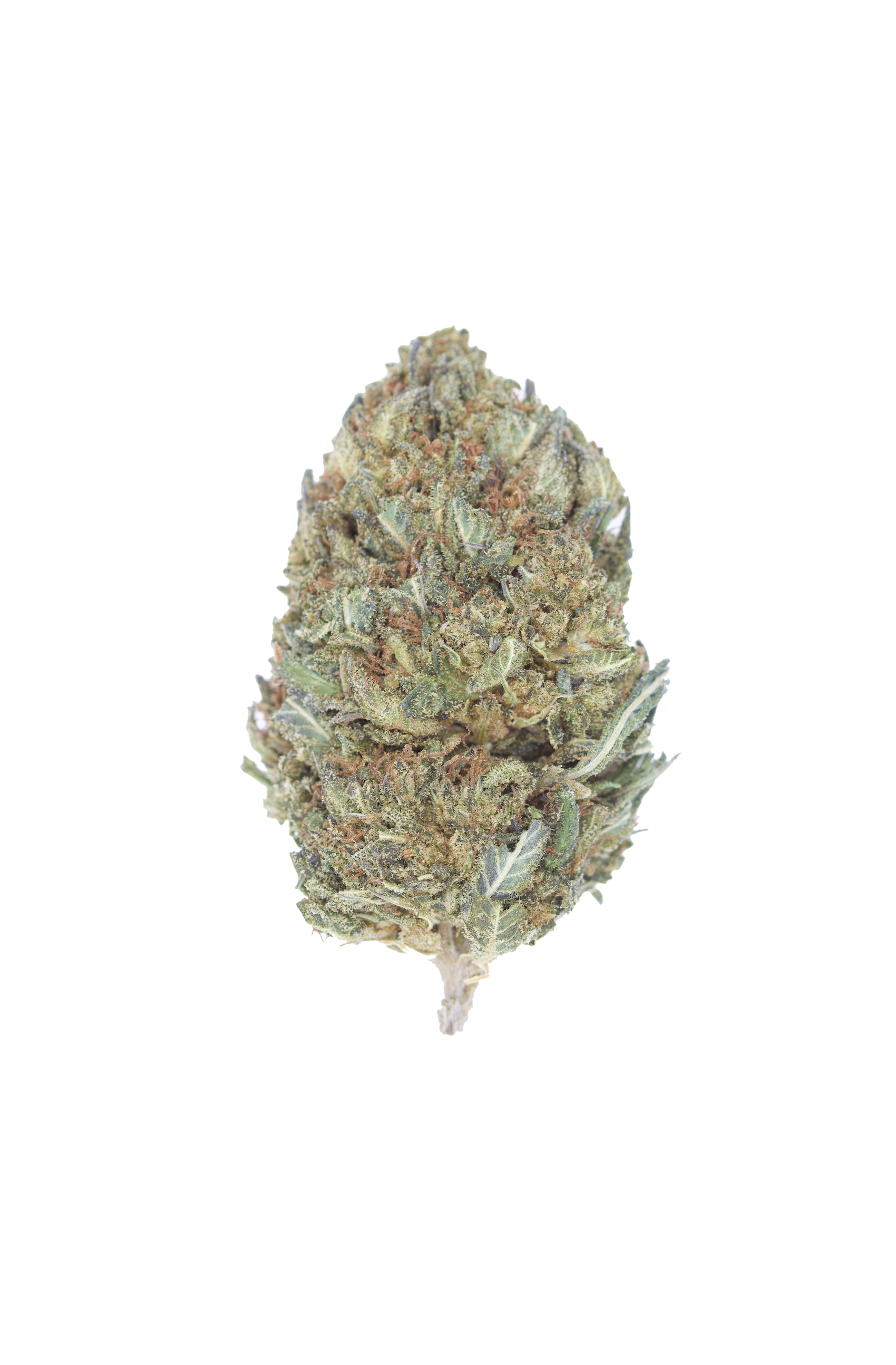 Royal OG Indica anti-anxiety Royal OG Indica anti-anxiety