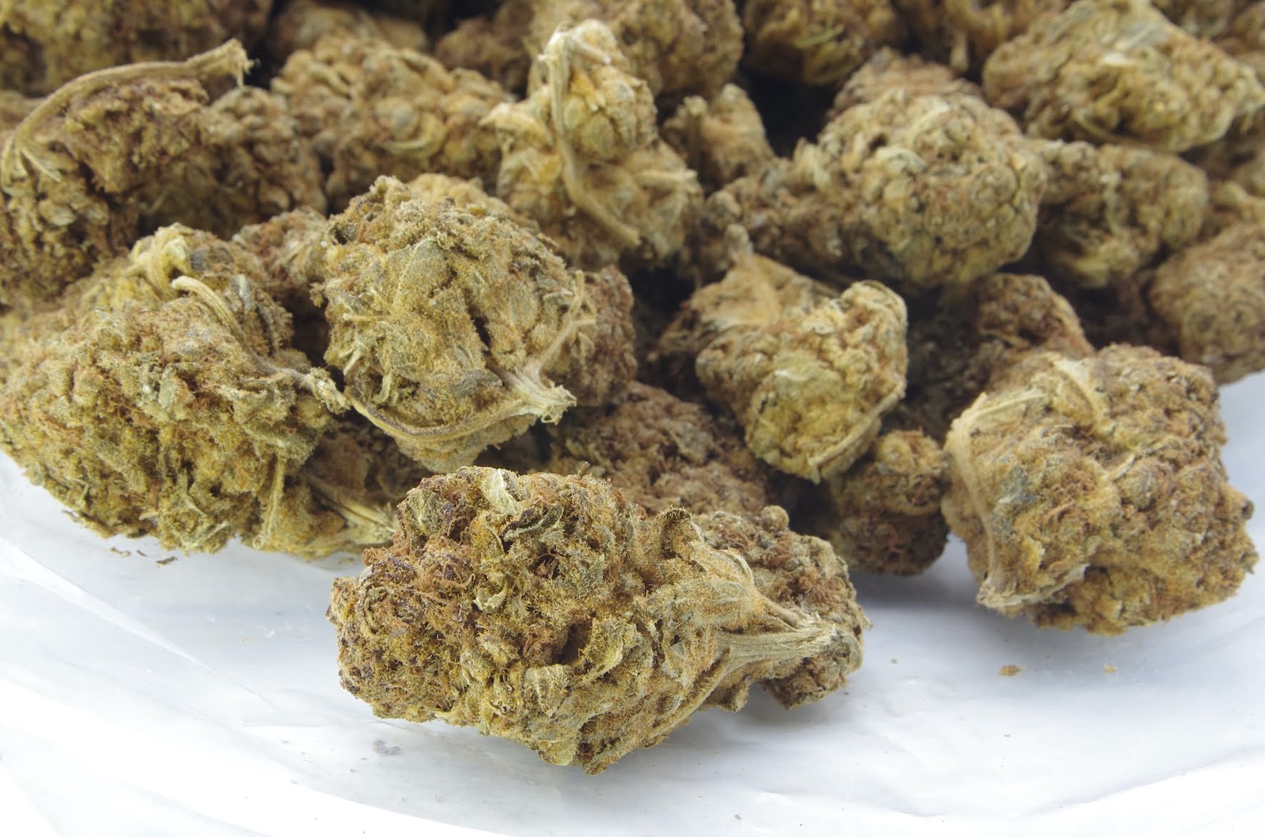 Lilac Diesel (Oz Special) Hybrid anti-anxiety Lilac Diesel (Oz Special) Hybrid anti-anxiety