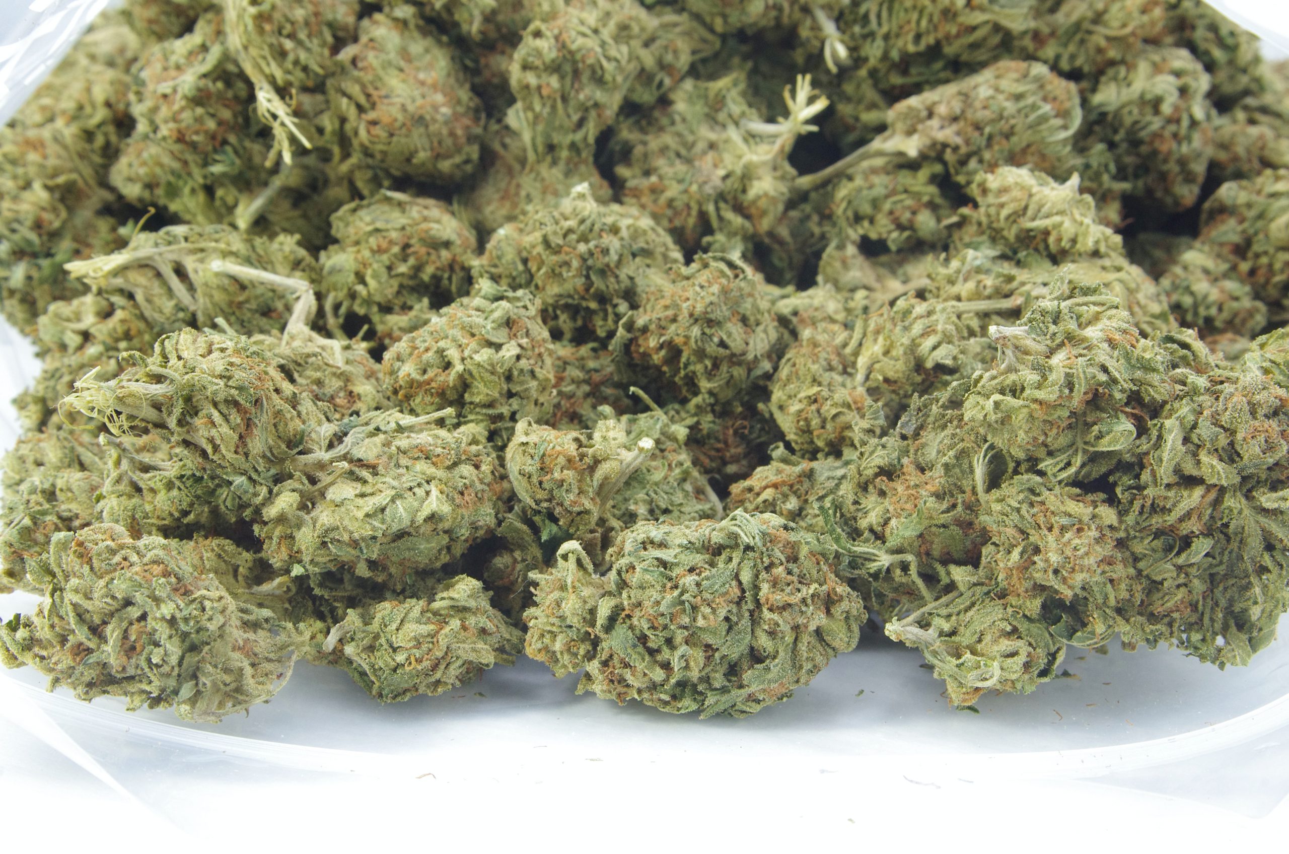 Sour Cake Oz Special Hybrid anti-anxiety Sour Cake Oz Special Hybrid anti-anxiety