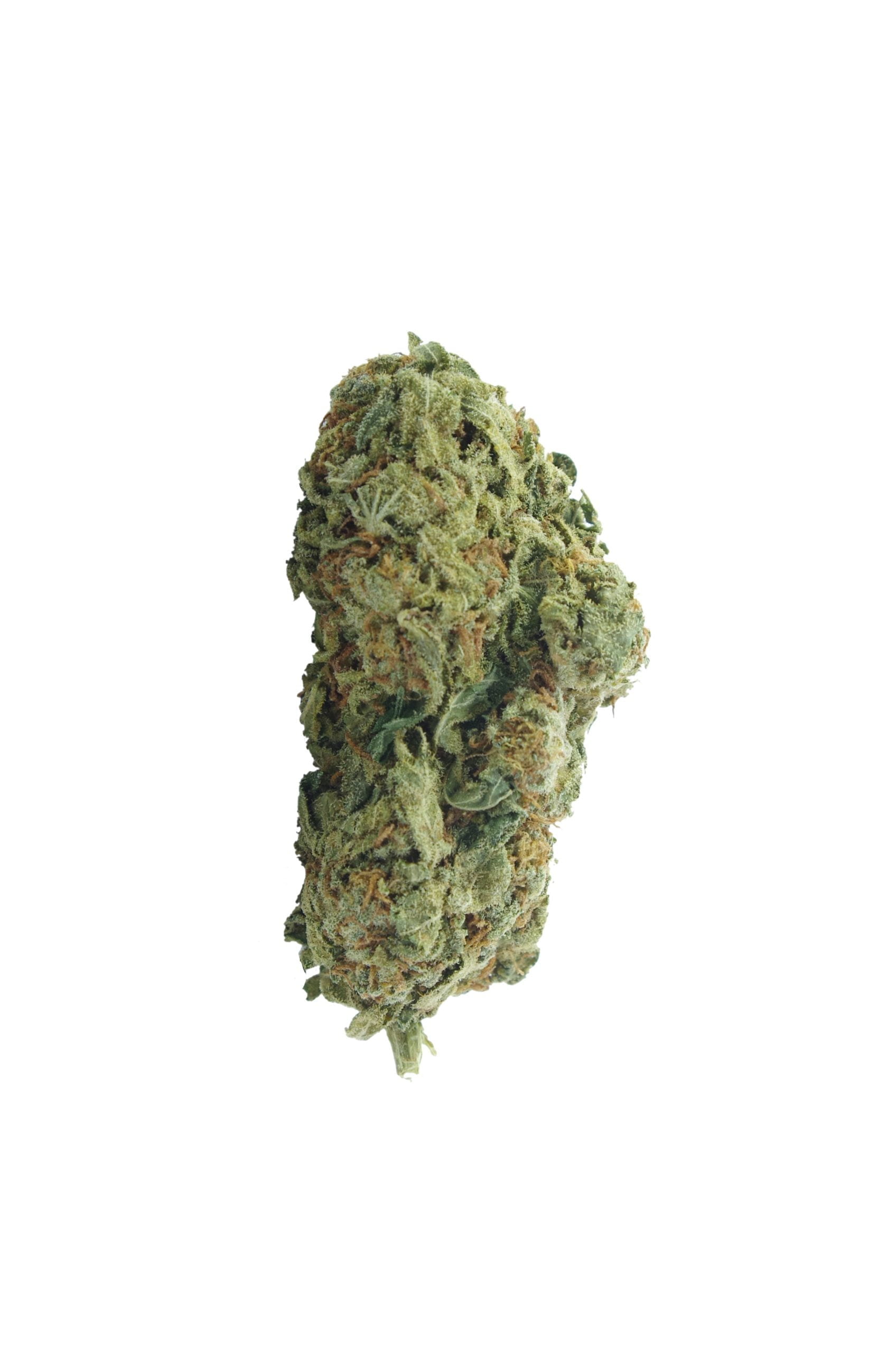 Sour Cake Oz Special Hybrid anti-anxiety Sour Cake Oz Special Hybrid anti-anxiety