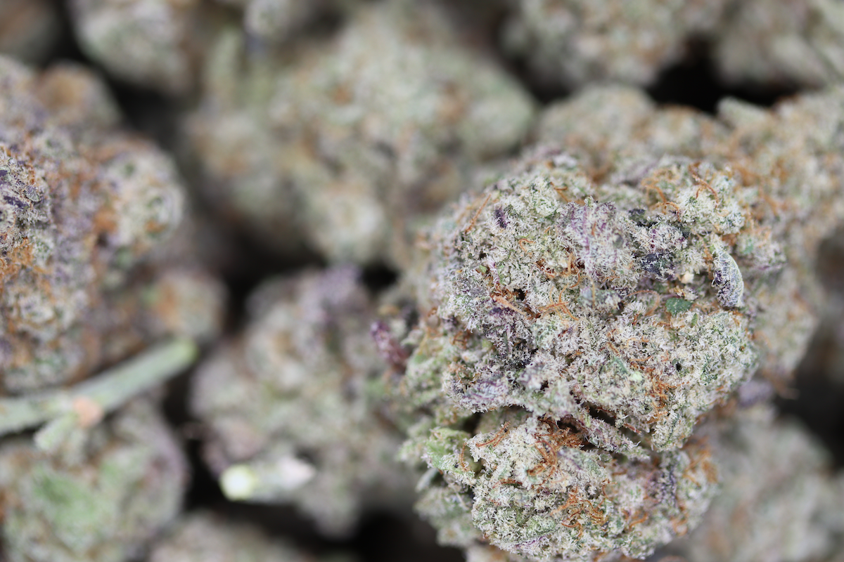 Strawberry MAC (1/2lb) Wholesale Flower Cannabis Flower Strawberry MAC (1/2lb) Wholesale Flower Cannabis Flower