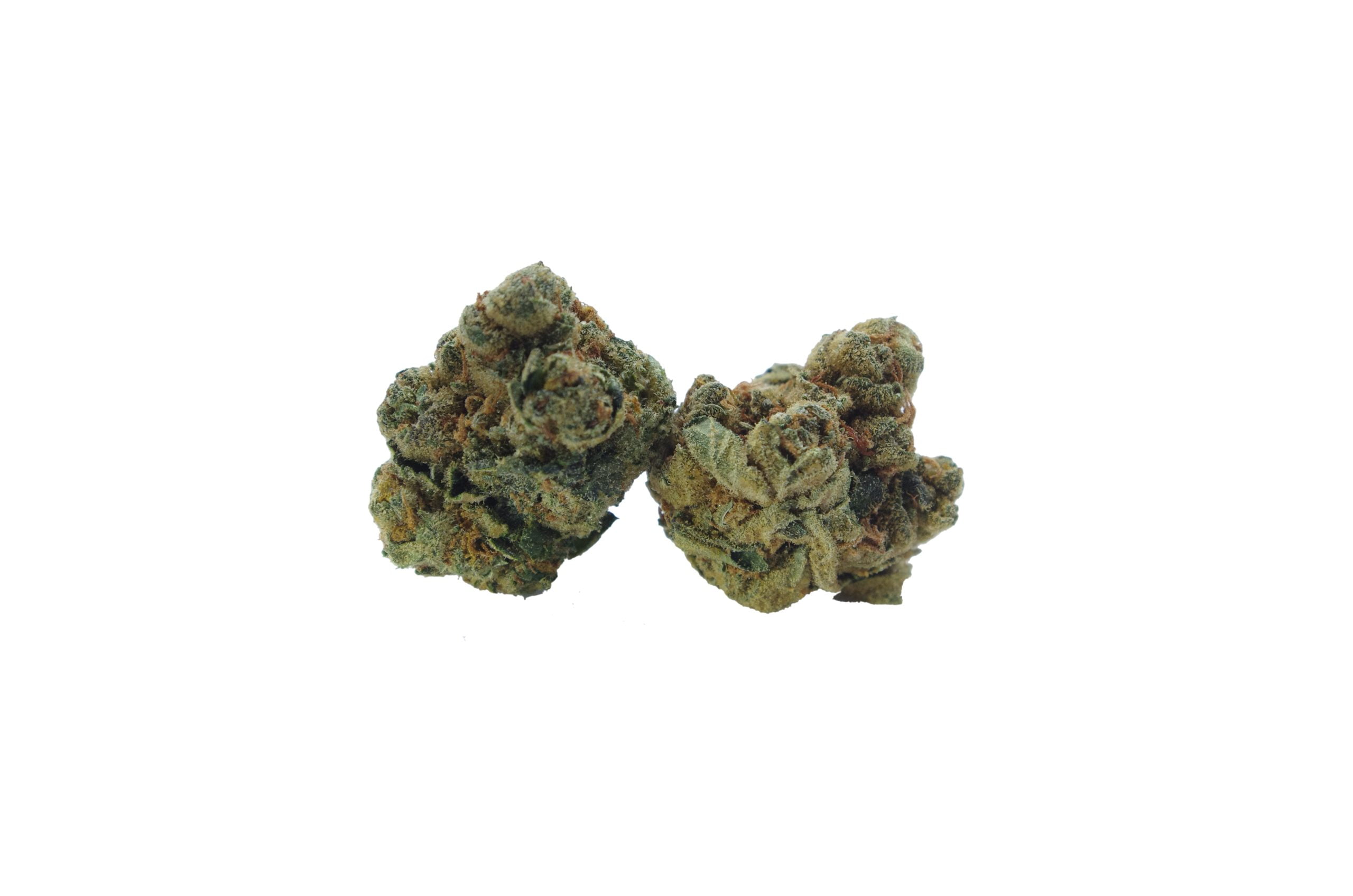 White Widow Oz Special Hybrid anti-anxiety White Widow Oz Special Hybrid anti-anxiety