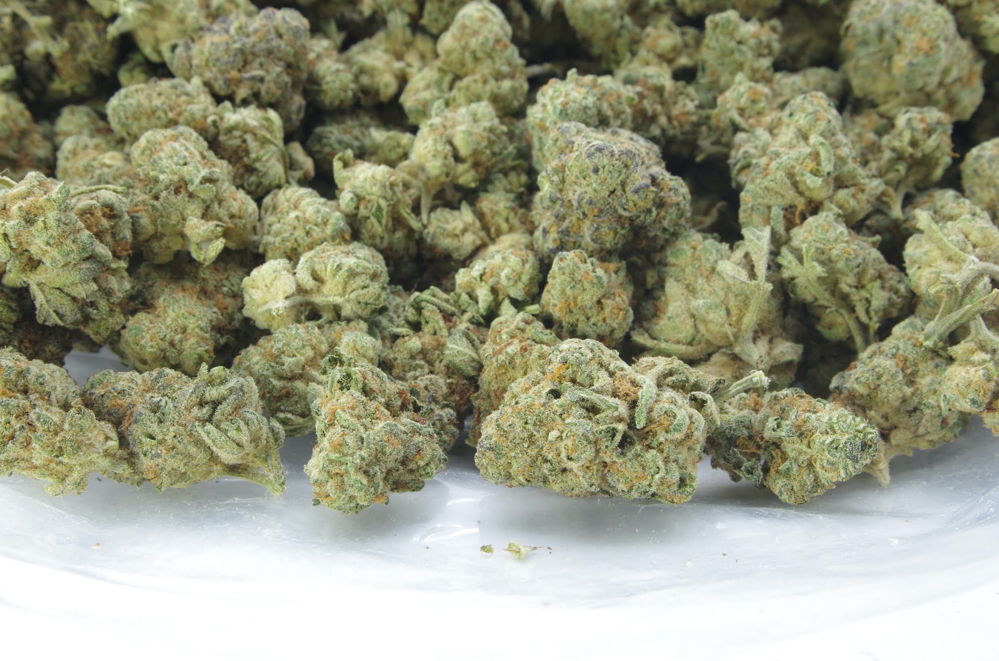 Berry White (Oz Special) Hybrid anti-anxiety Berry White (Oz Special) Hybrid anti-anxiety