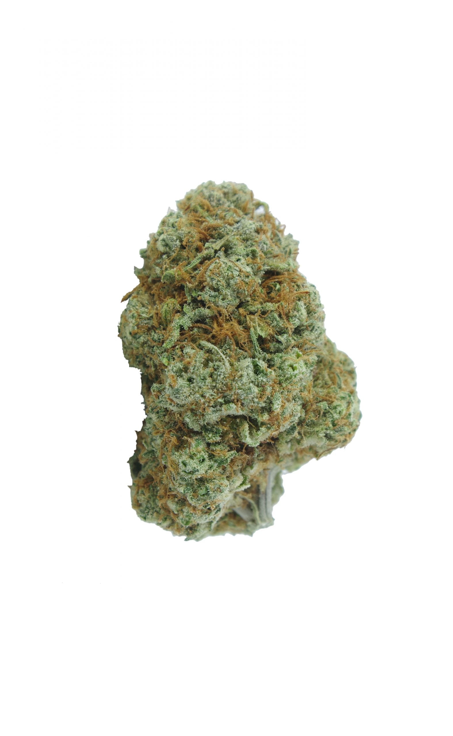 Tangerine Dream (Oz Special) Hybrid anti-anxiety Tangerine Dream (Oz Special) Hybrid anti-anxiety