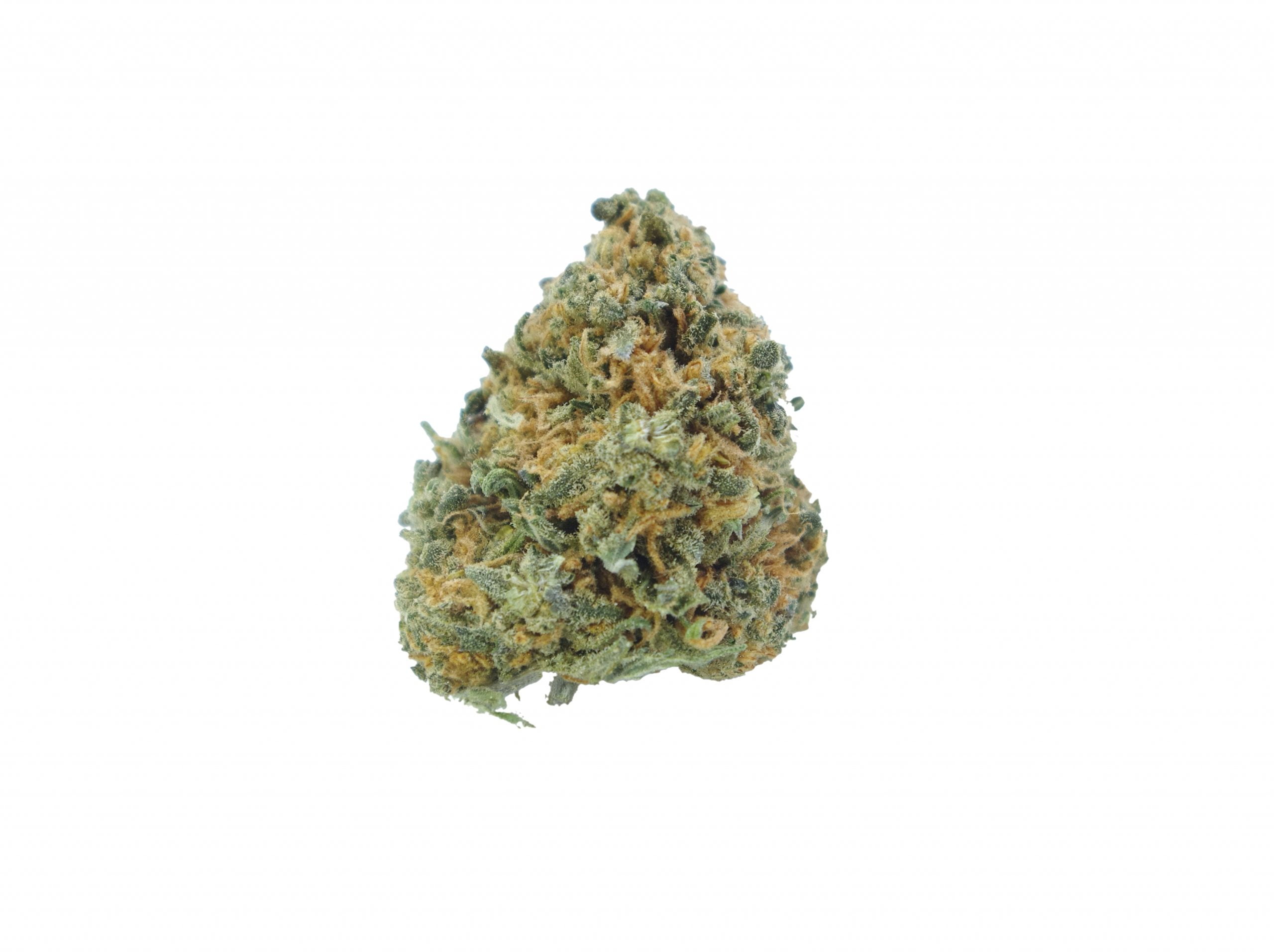 Tangie (Oz Special) Hybrid anti-anxiety Tangie (Oz Special) Hybrid anti-anxiety