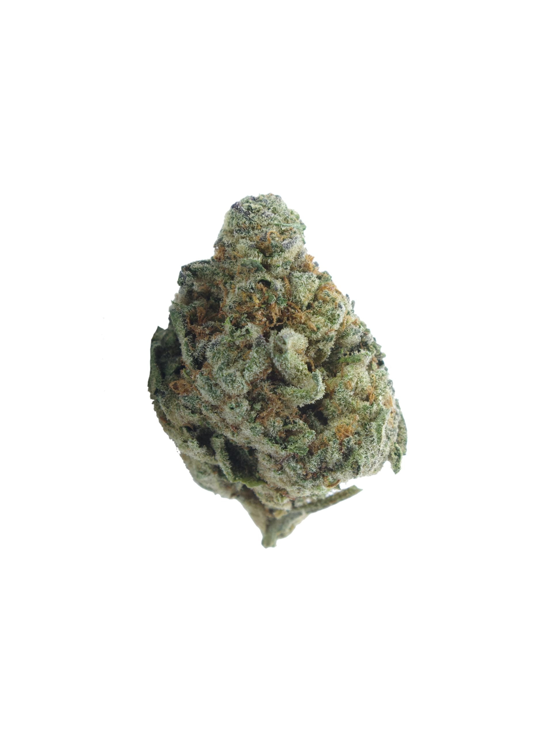Berry White (Oz Special) Hybrid anti-anxiety Berry White (Oz Special) Hybrid anti-anxiety